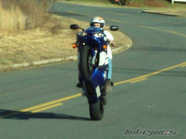 Photo 228213