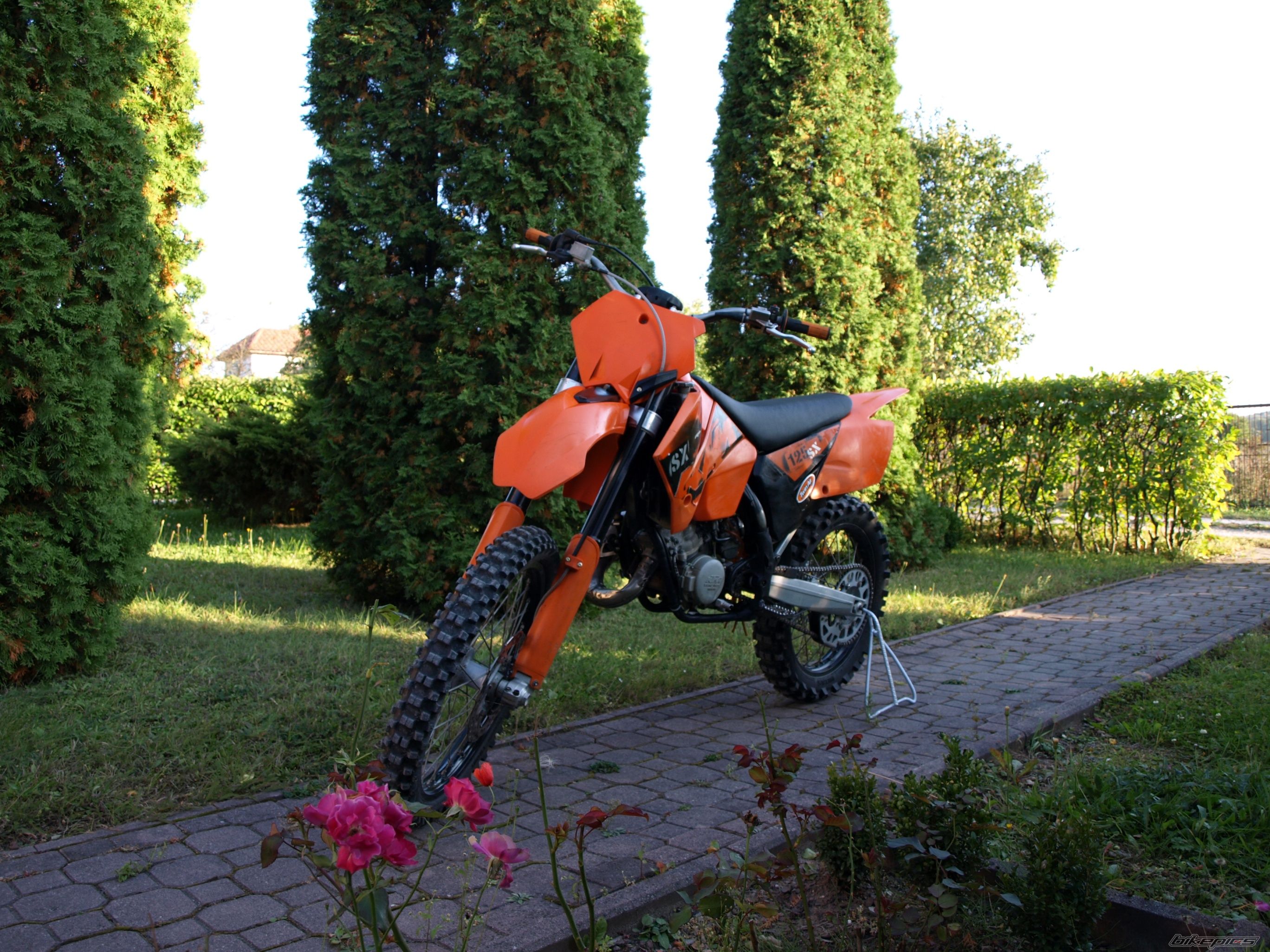 Photo 2282161