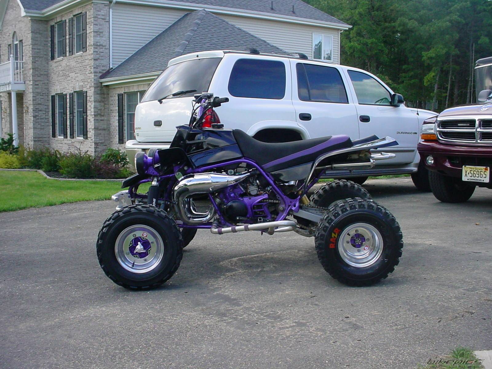 Photo 228222