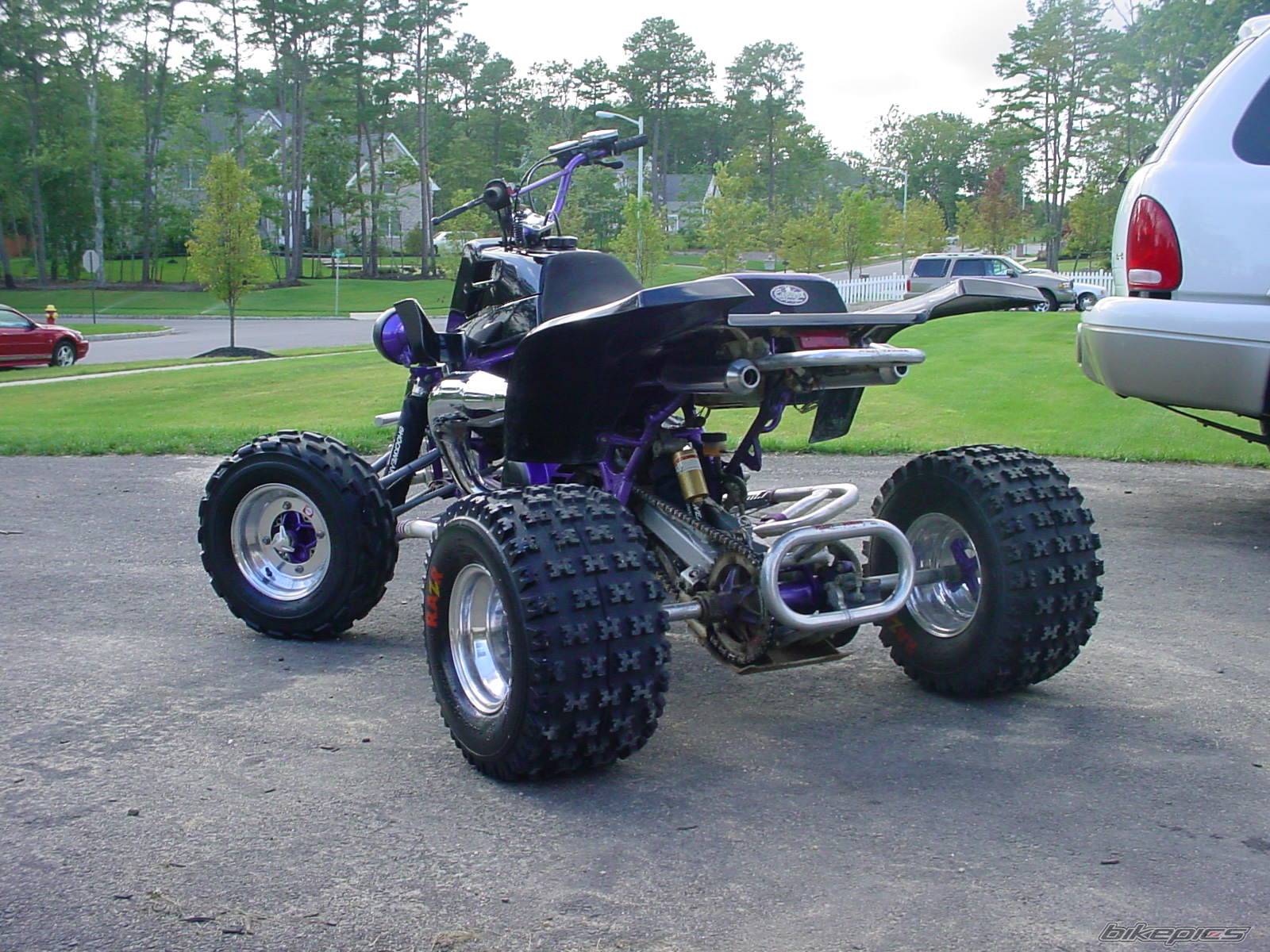 Photo 228224