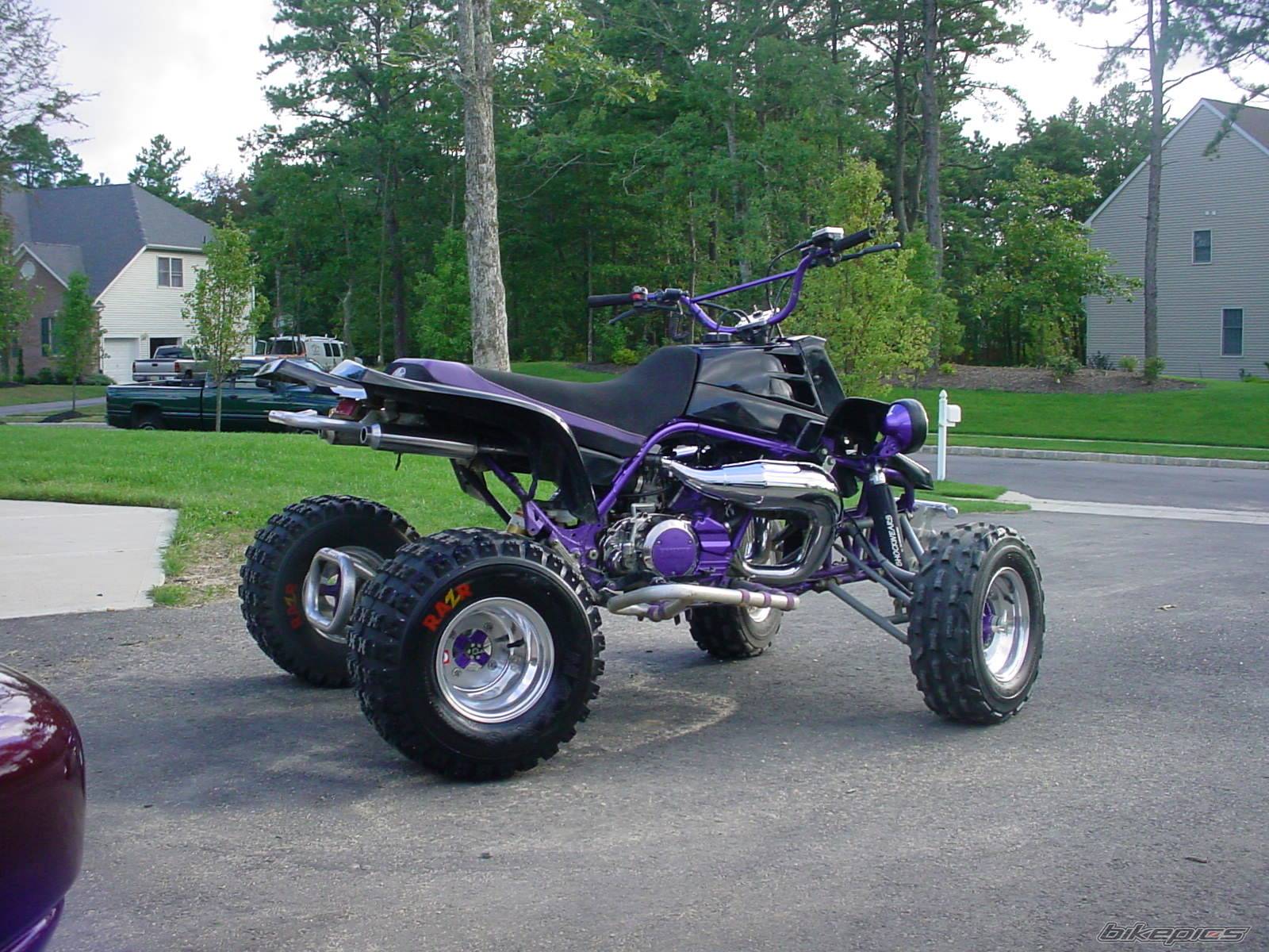 Photo 228225
