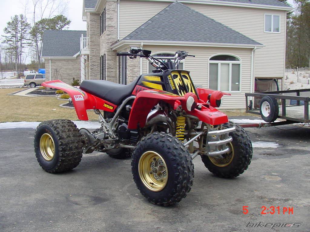 Photo 228226
