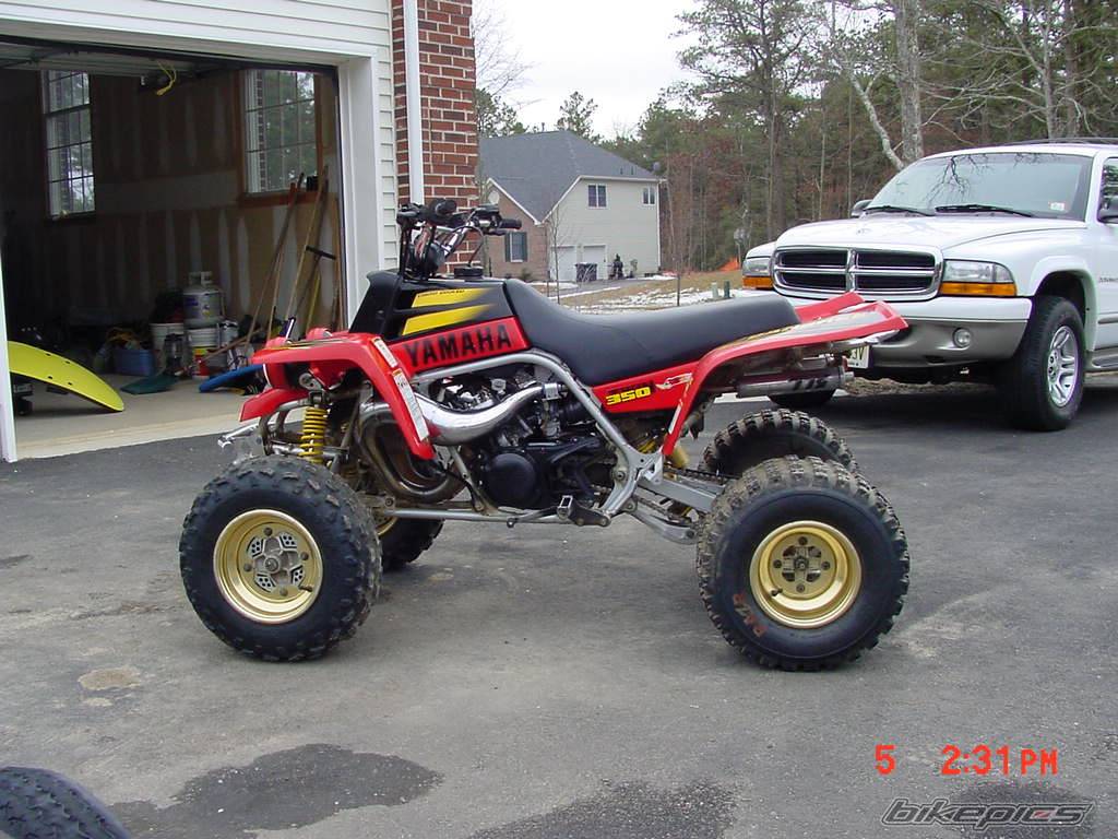 Photo 228228