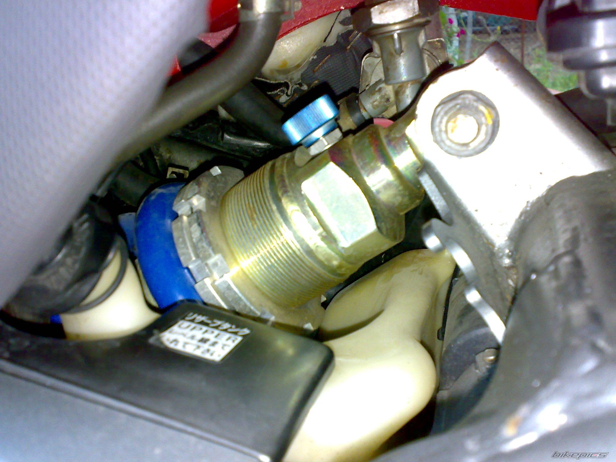 Photo 2282286