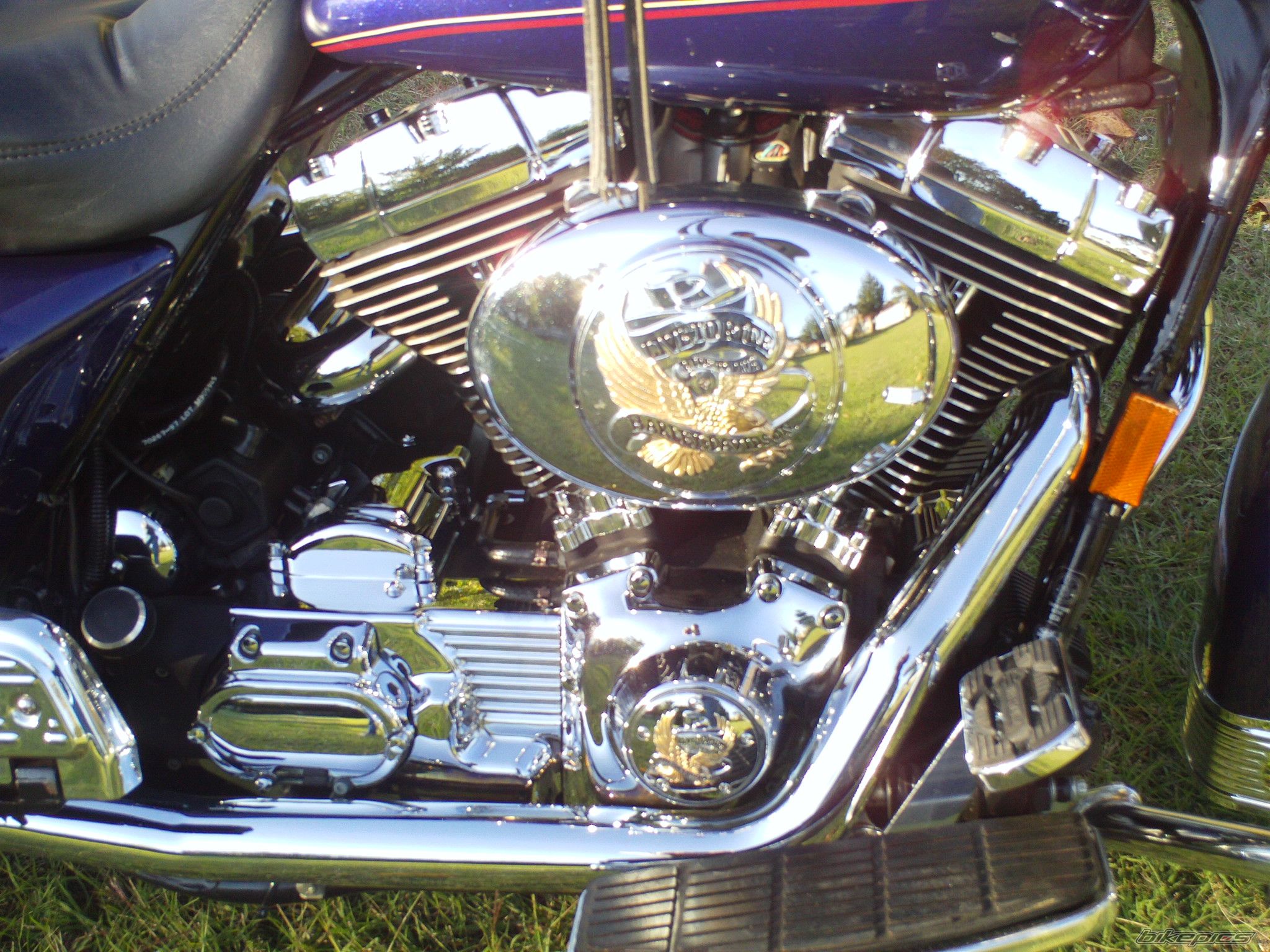 Photo 2282309