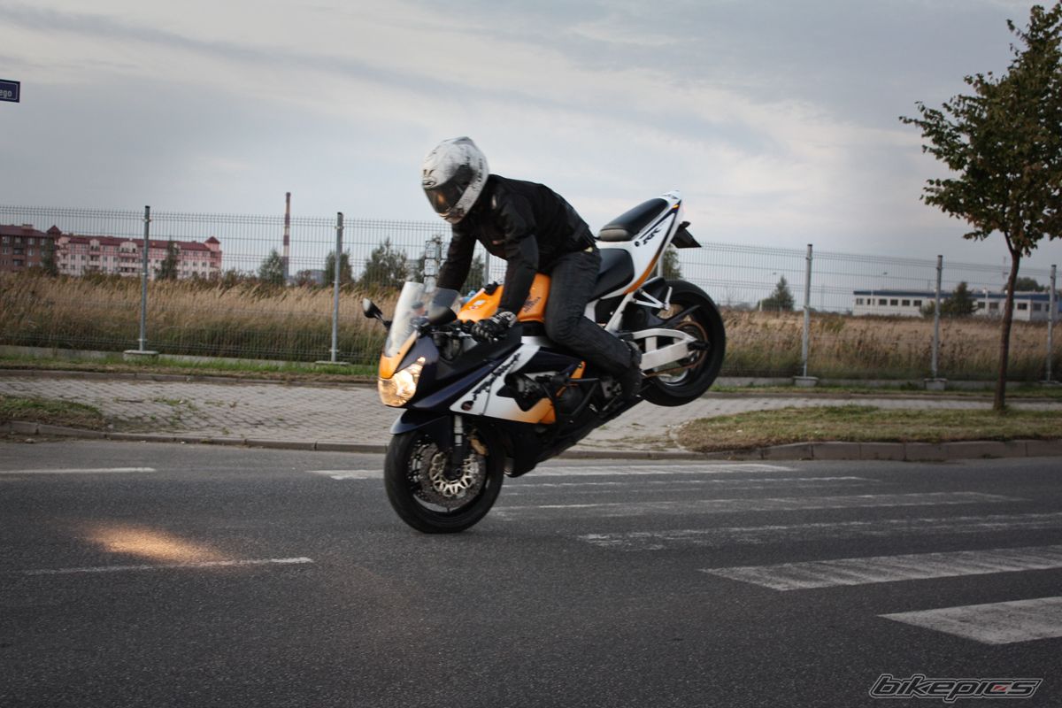 Photo 2282367