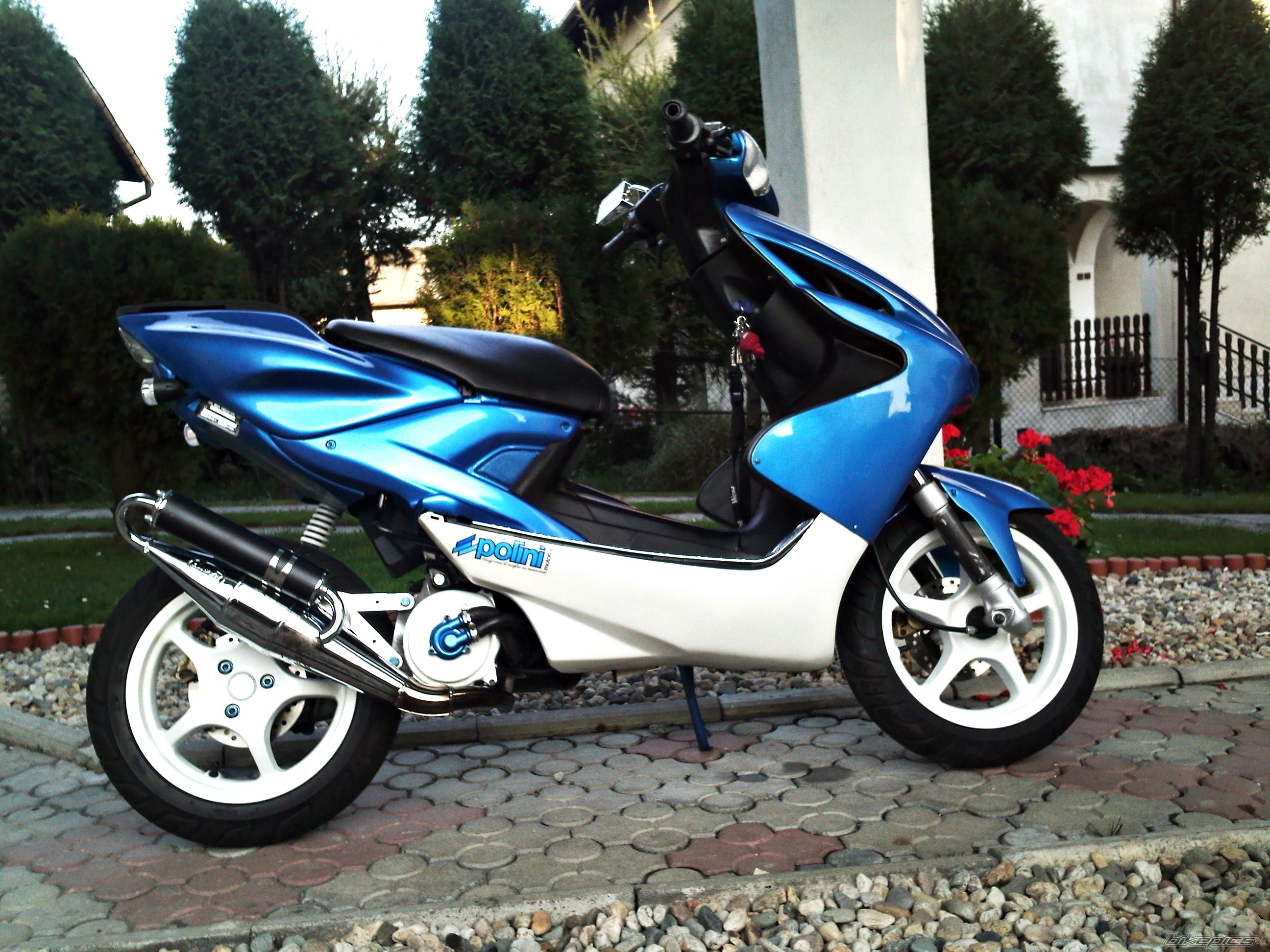 Photo 2282376