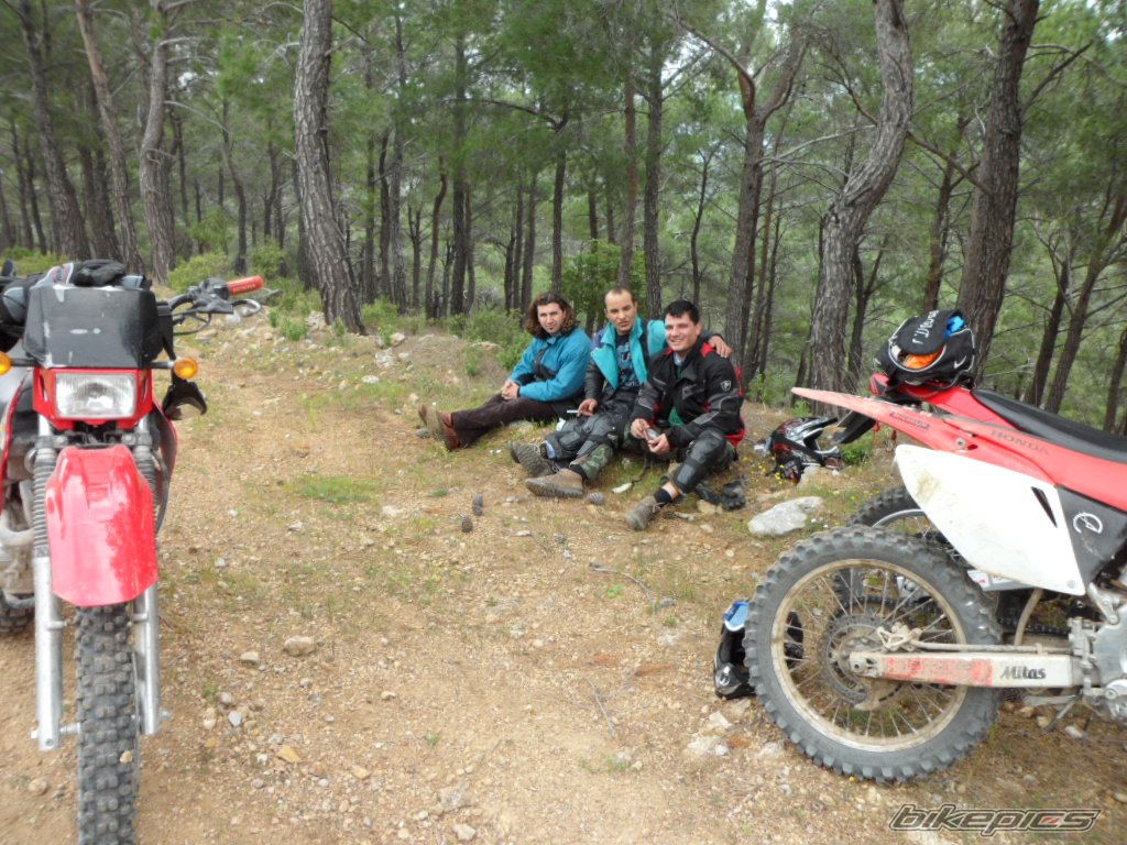 Photo 2282417