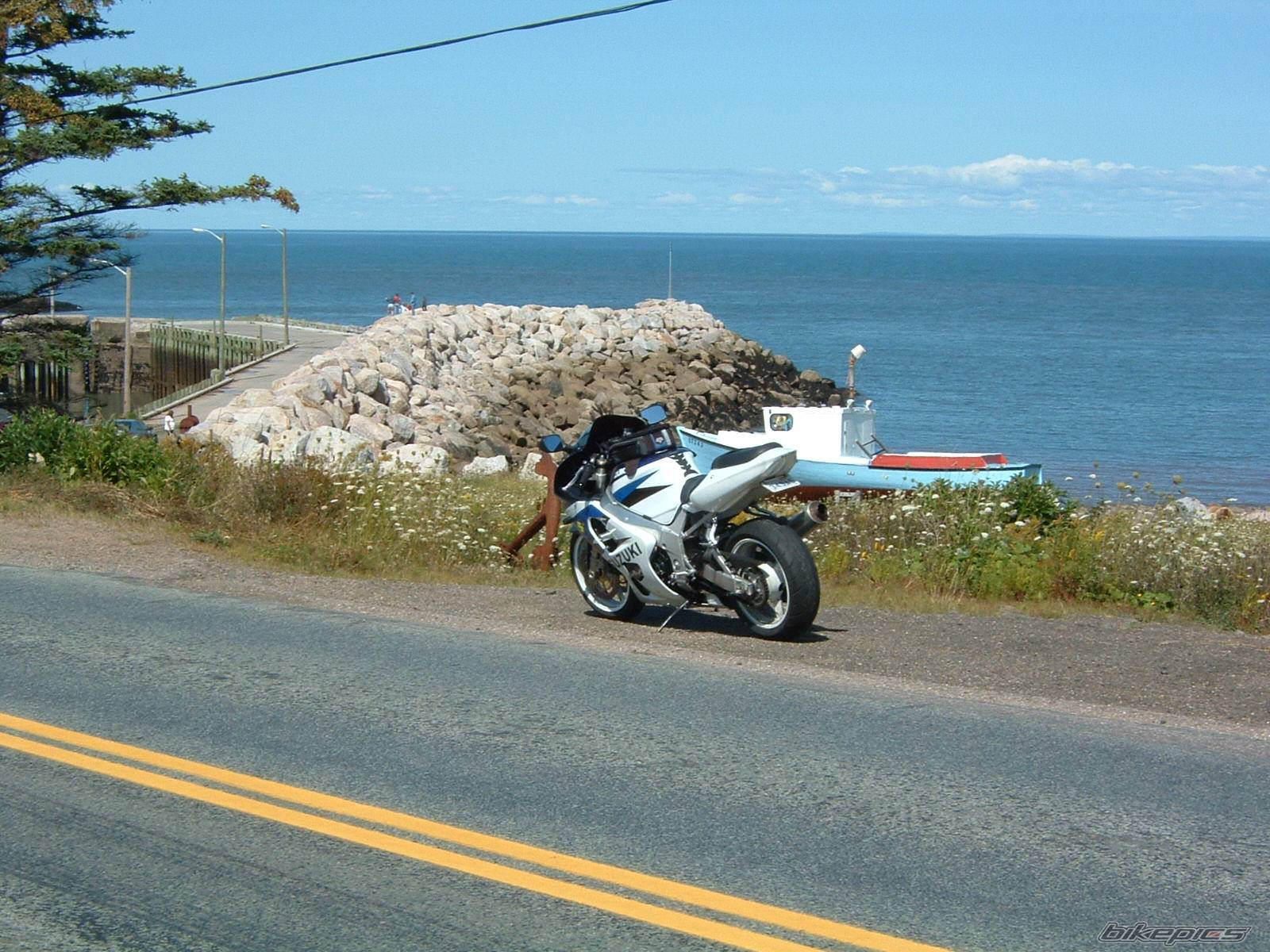 Bike Photo 228253