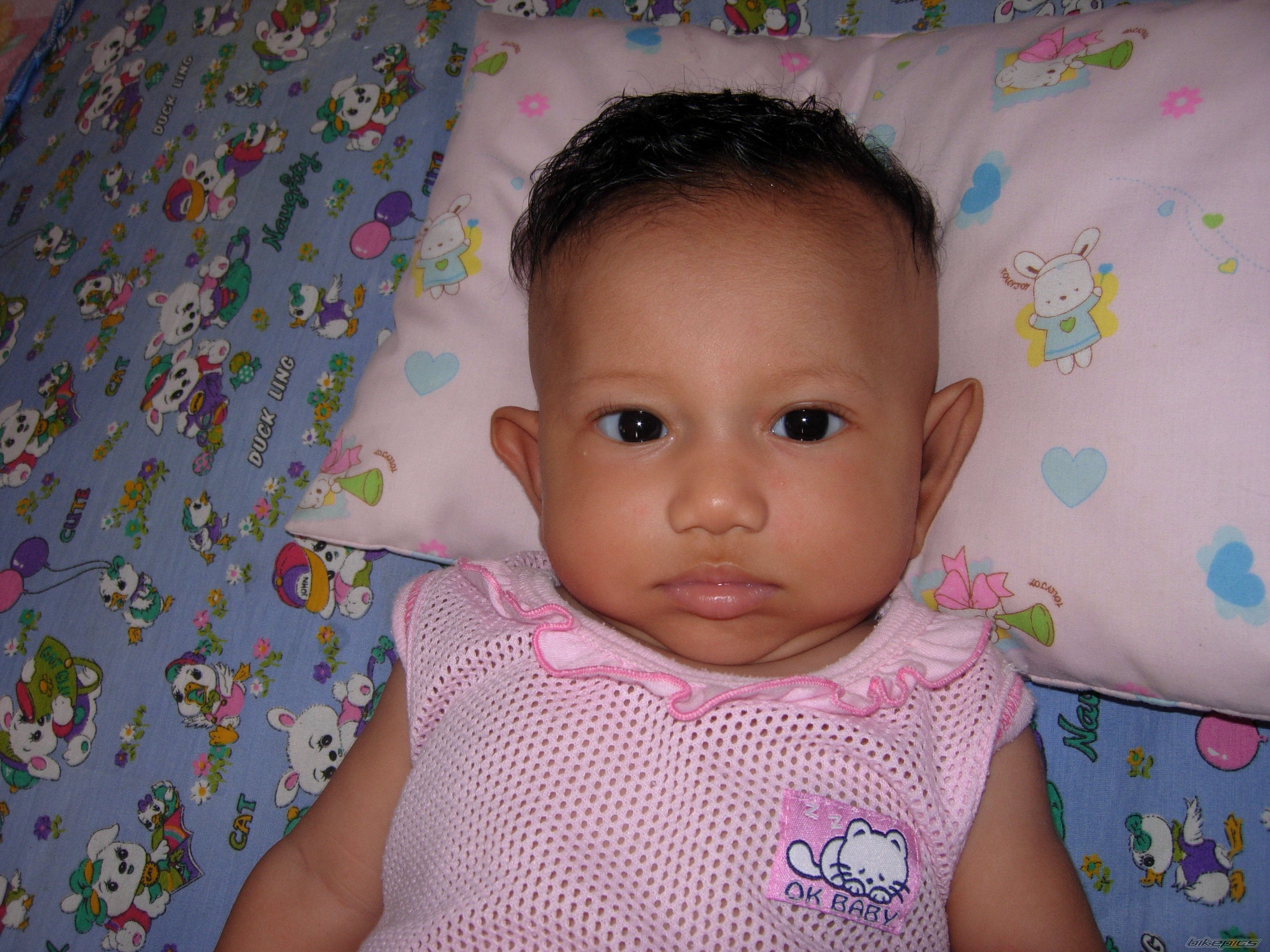 Photo 2282581