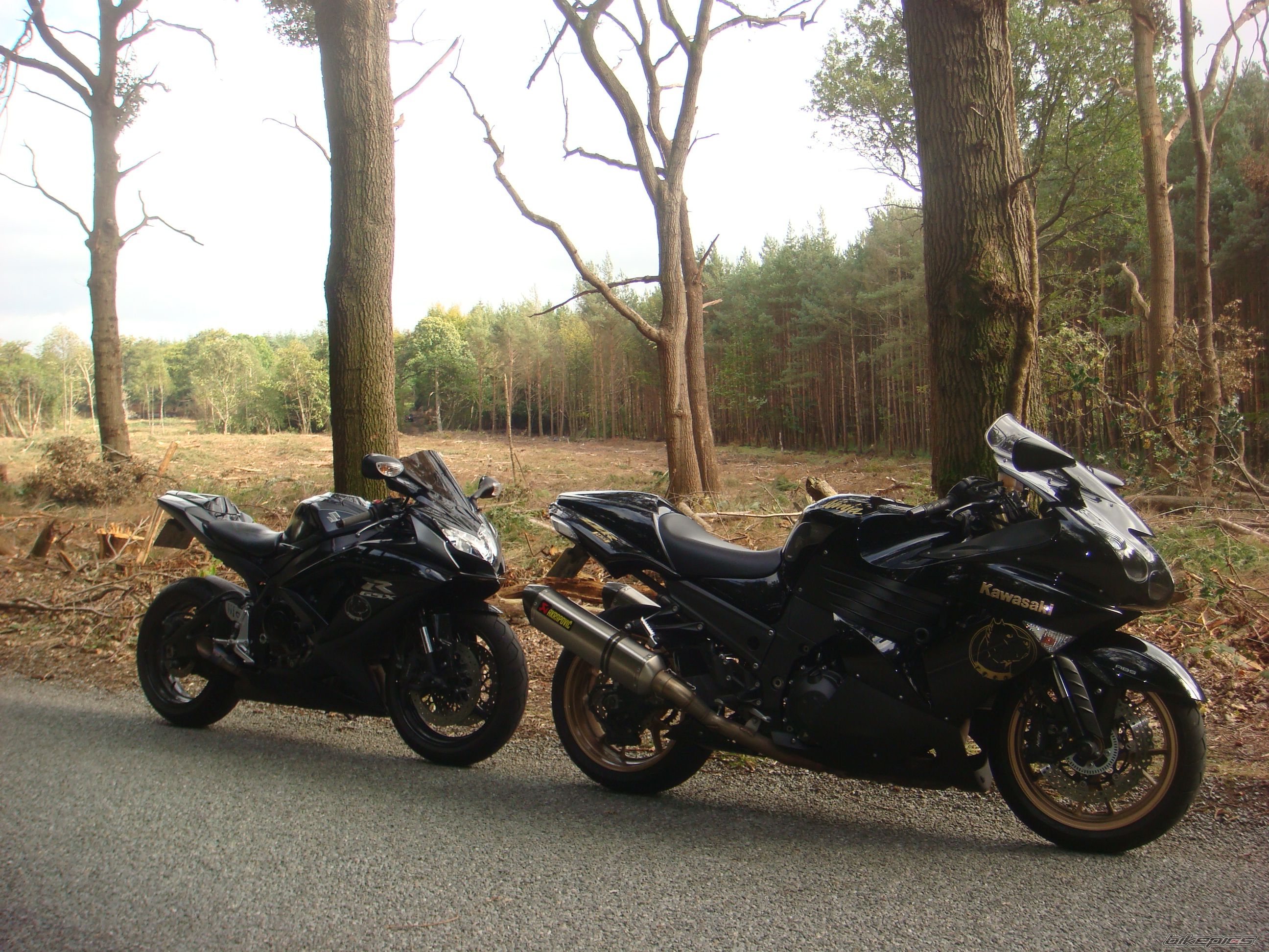 Photo 2282655