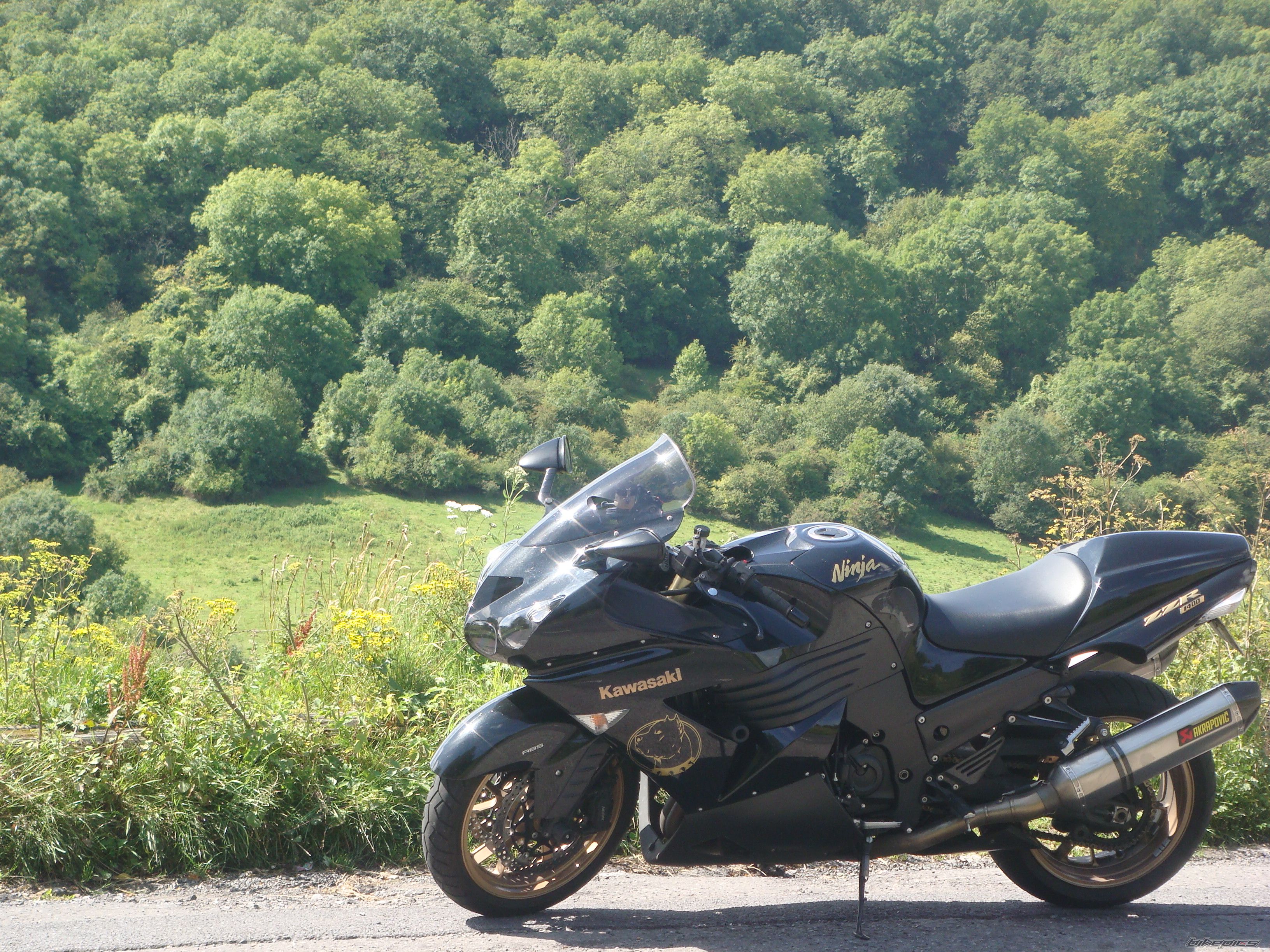 Photo 2282656