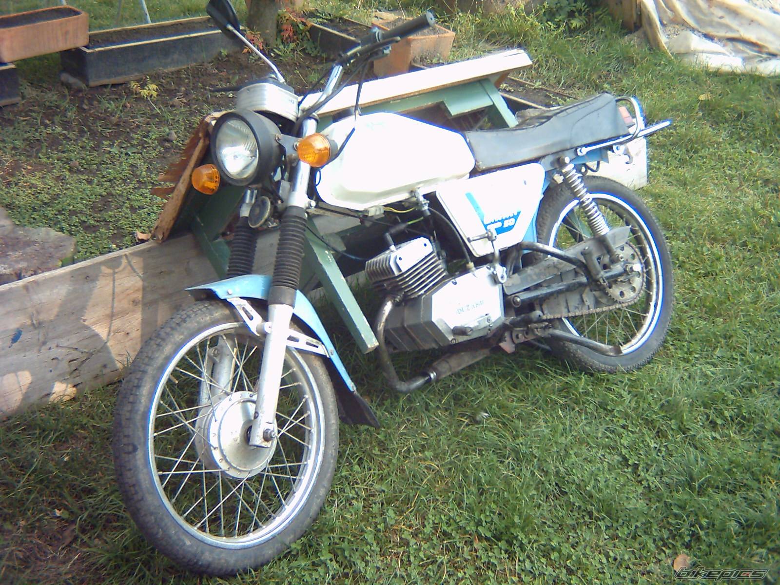 Photo 228268