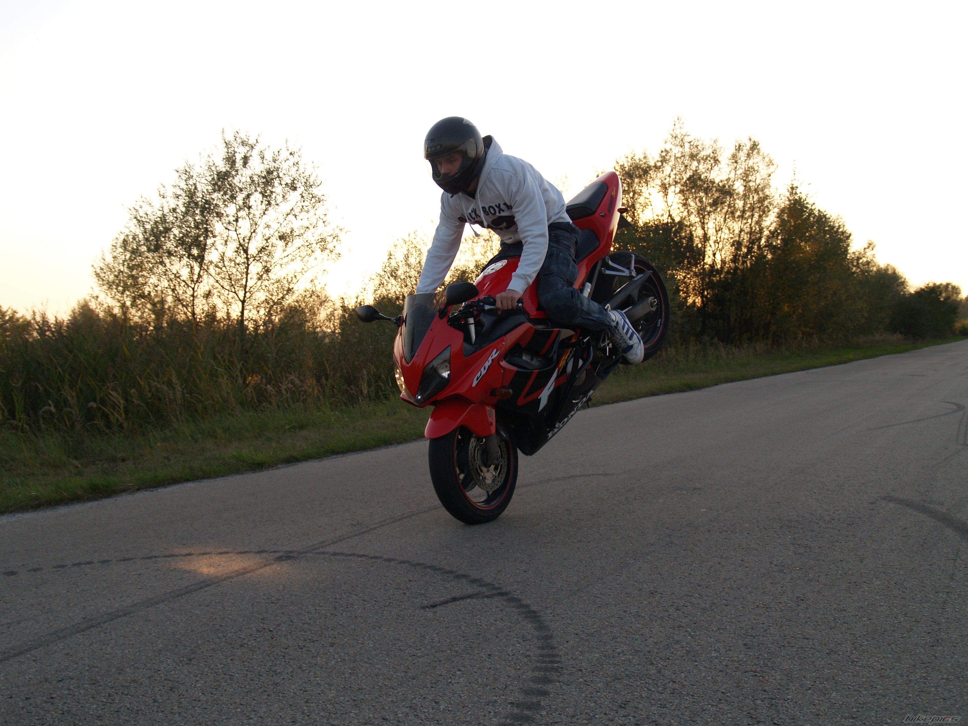 Photo 2282695