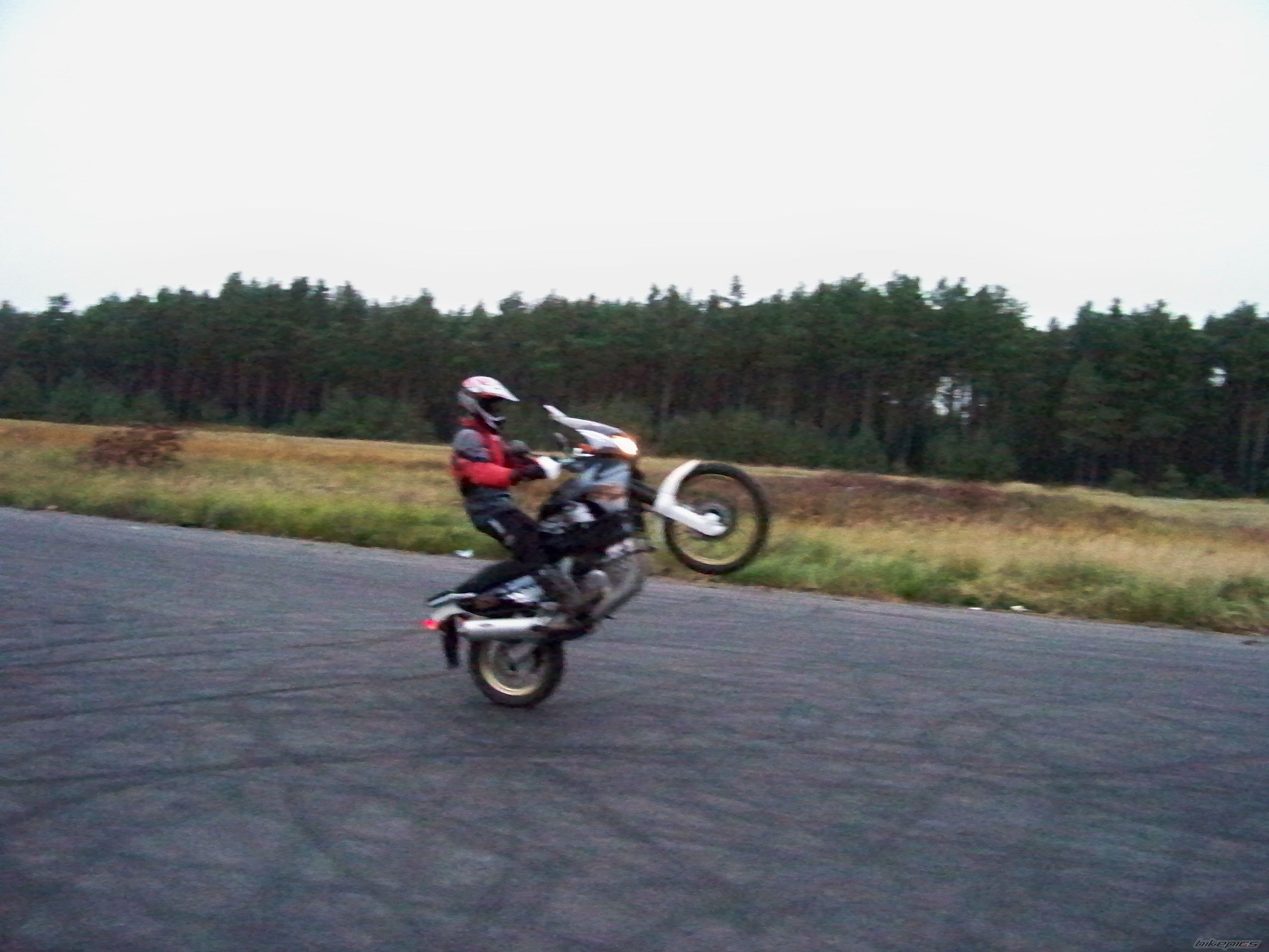 Photo 2282713