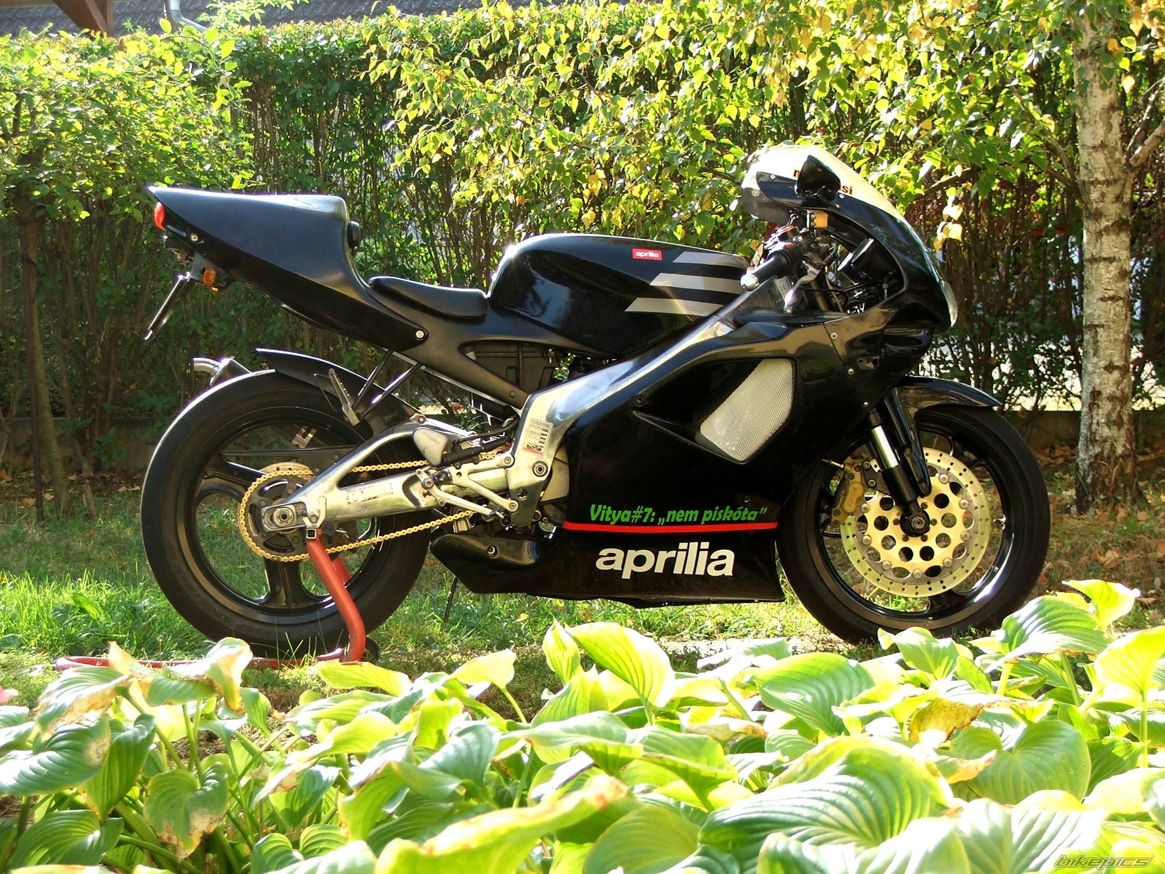 Photo 2282776