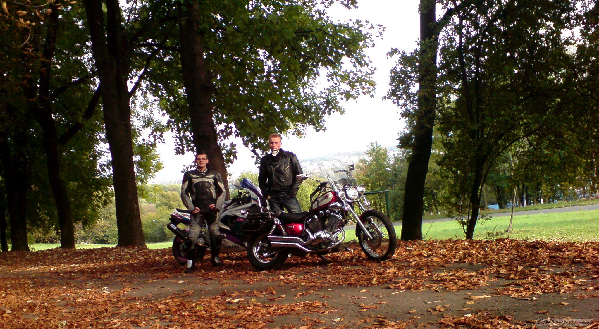 Photo 2283033