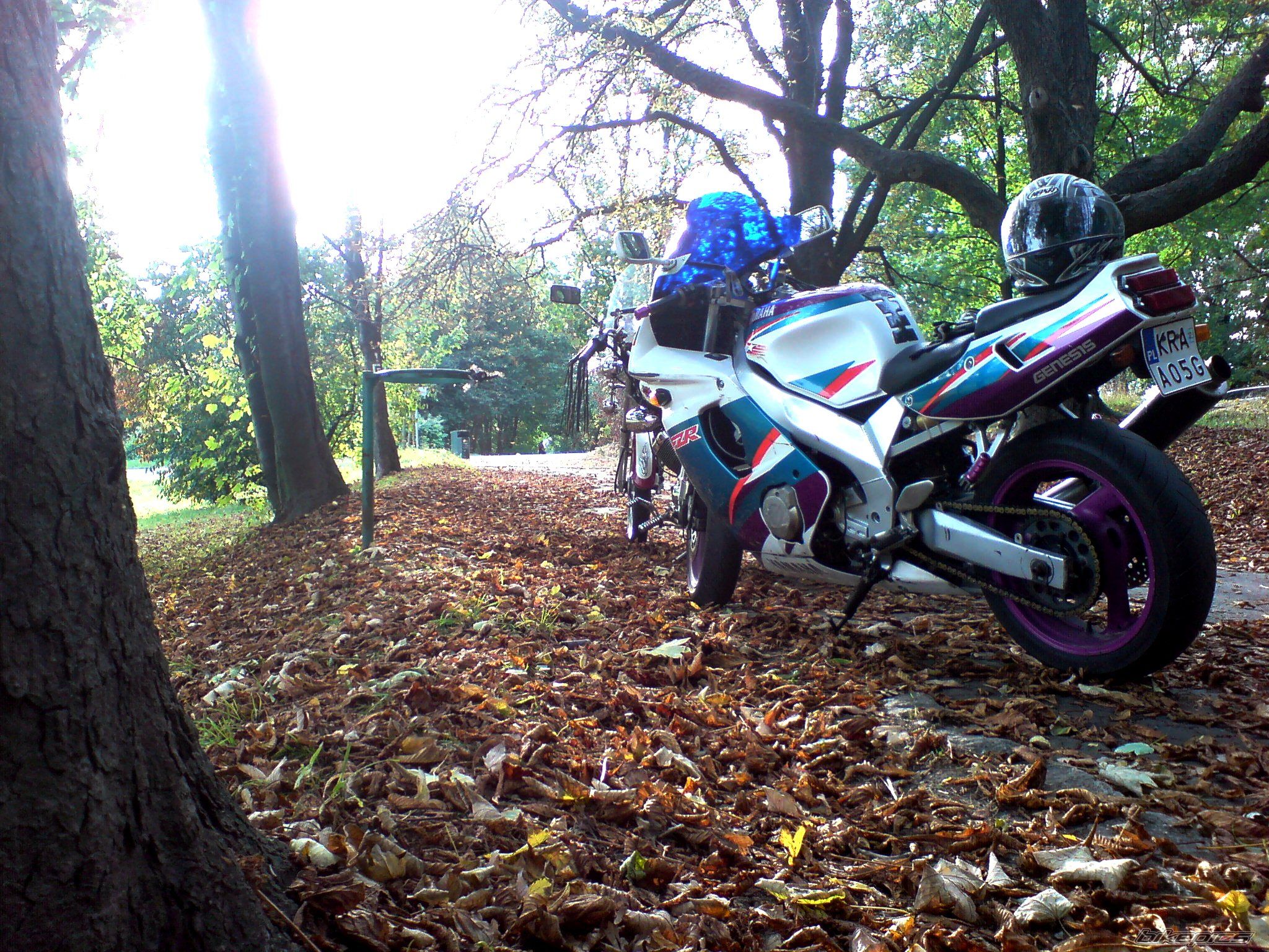 Photo 2283036