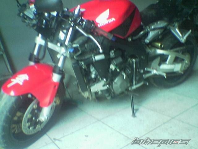 Photo 2283182