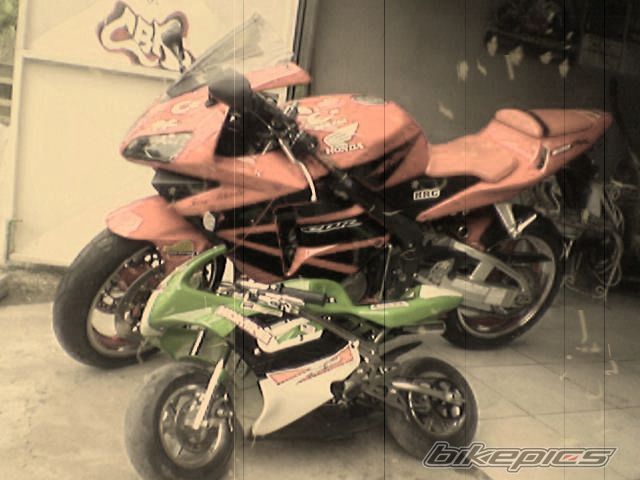 Photo 2283193