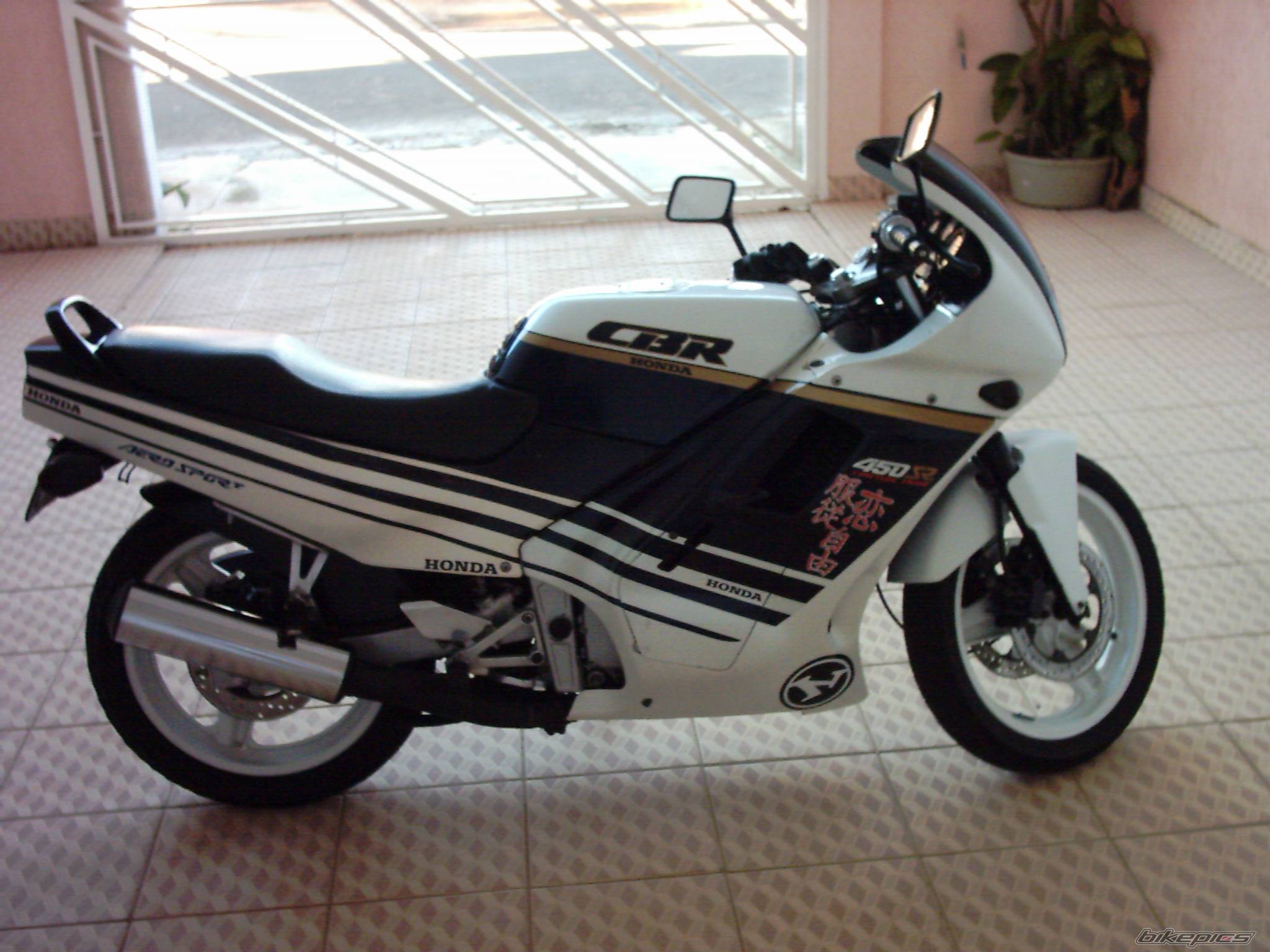Photo 228341