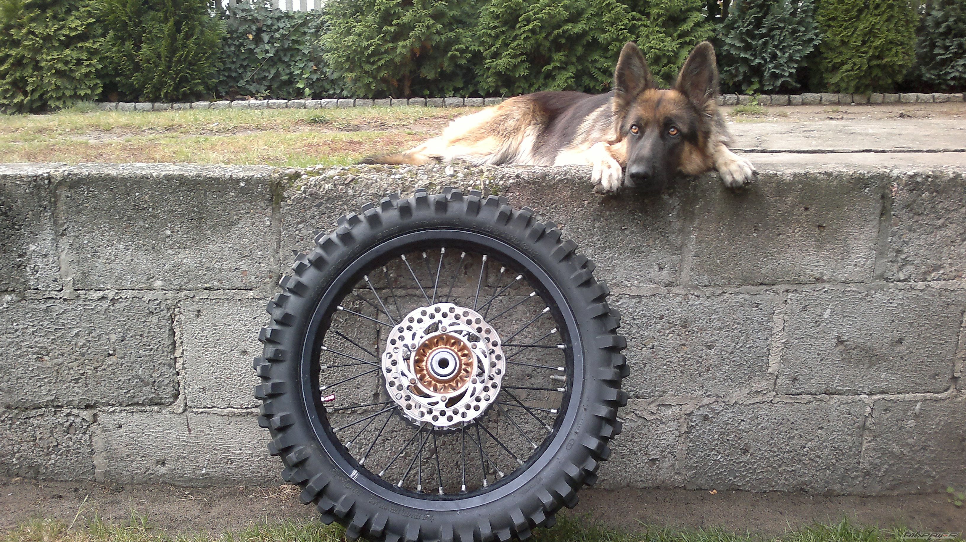 Photo 2283532