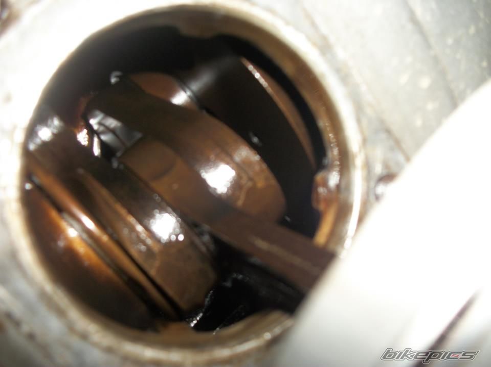 Photo 2283584