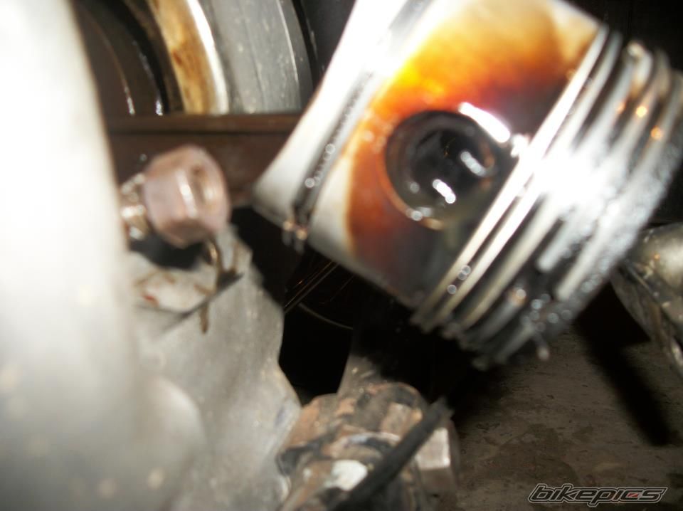 Photo 2283585