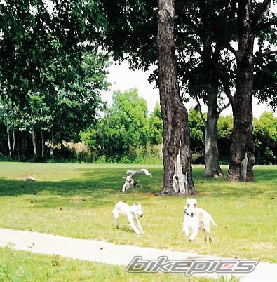 Photo 2283608