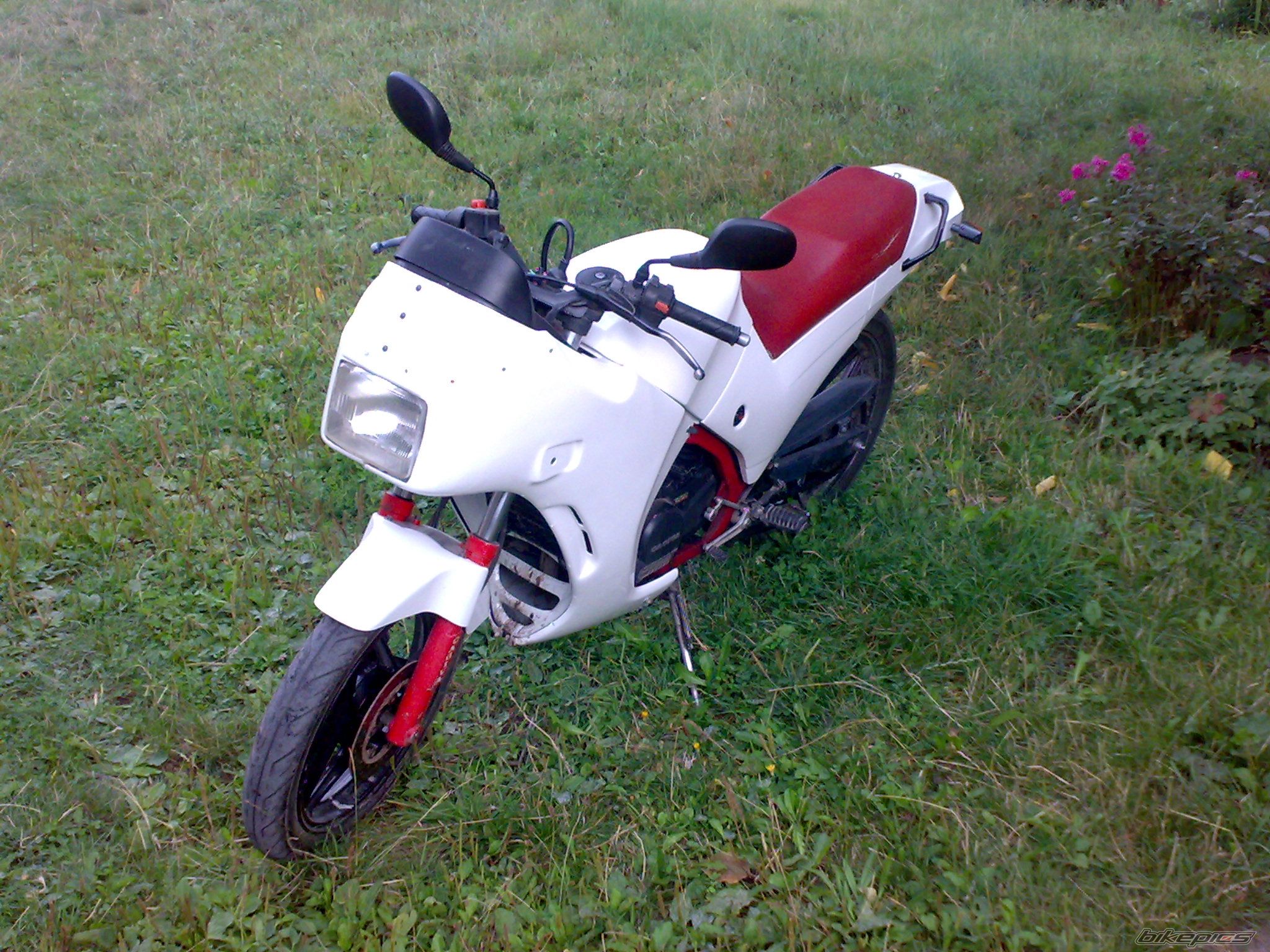 Photo 2283707