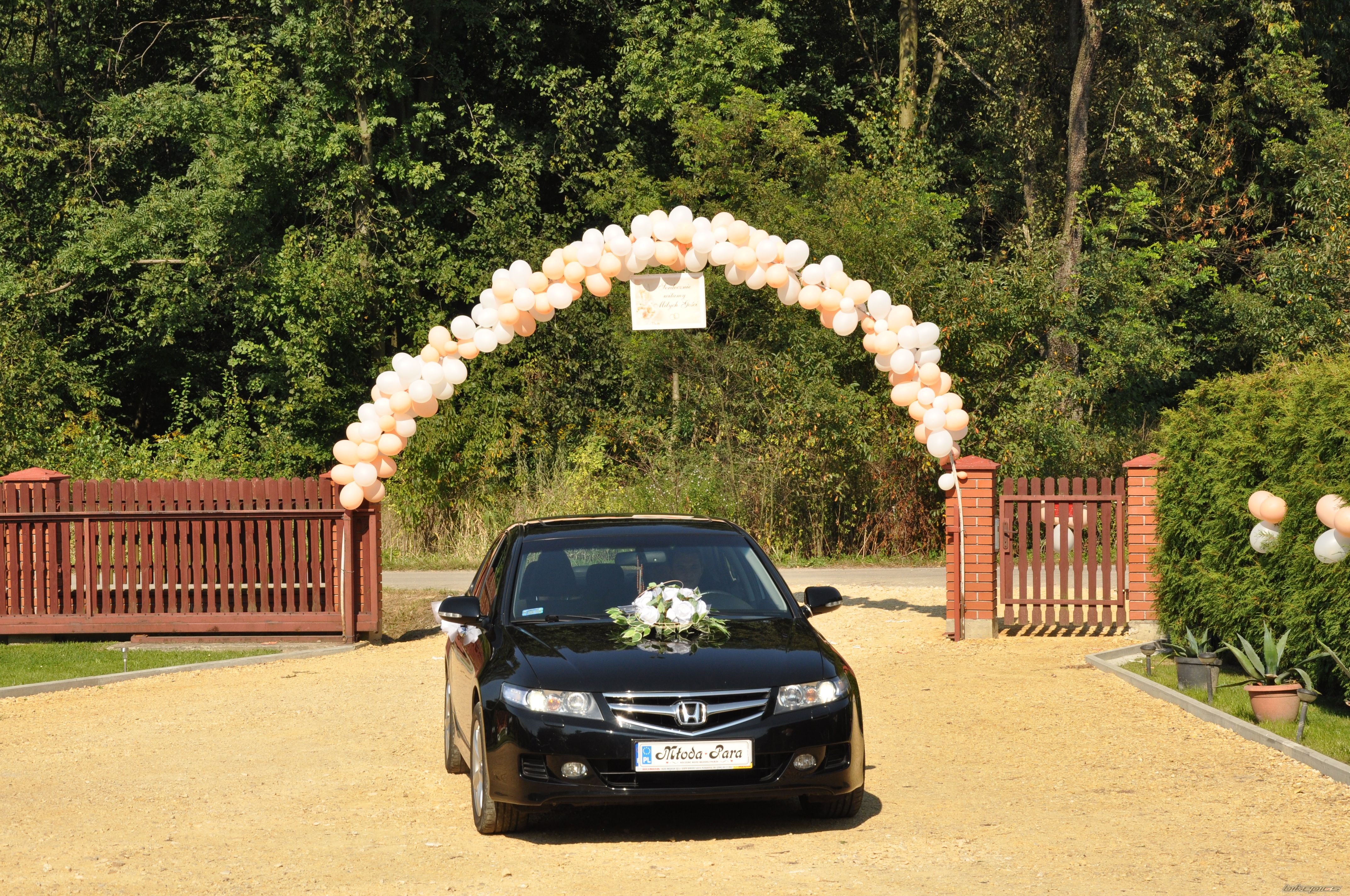 Photo 2283748