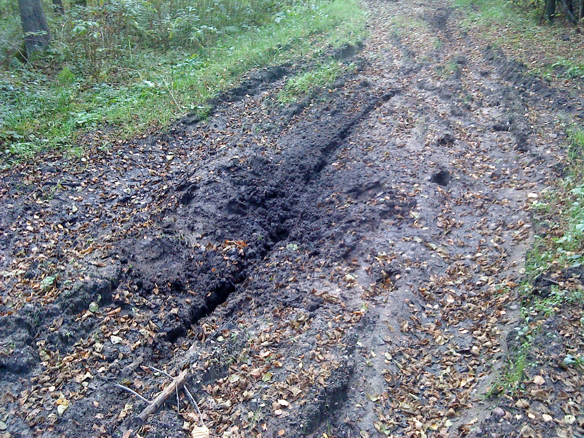 Photo 2283793