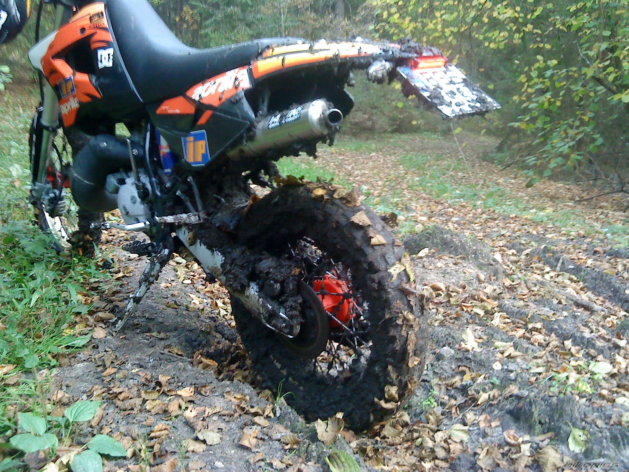 Photo 2283794