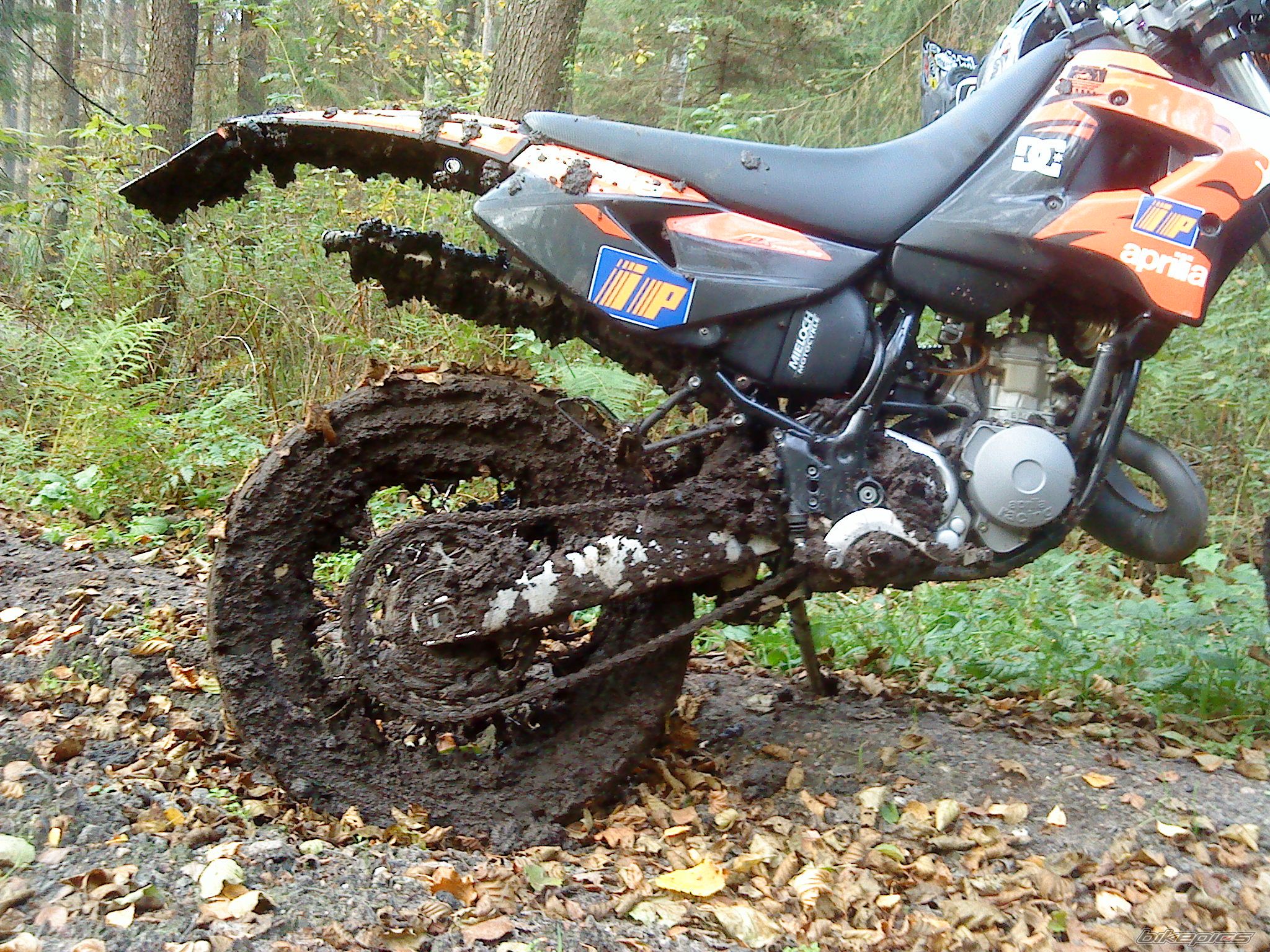 Photo 2283795