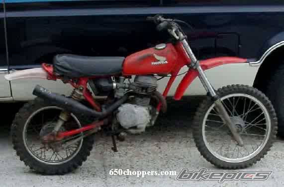 Photo 228392