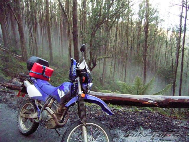 Bike Photo 228395