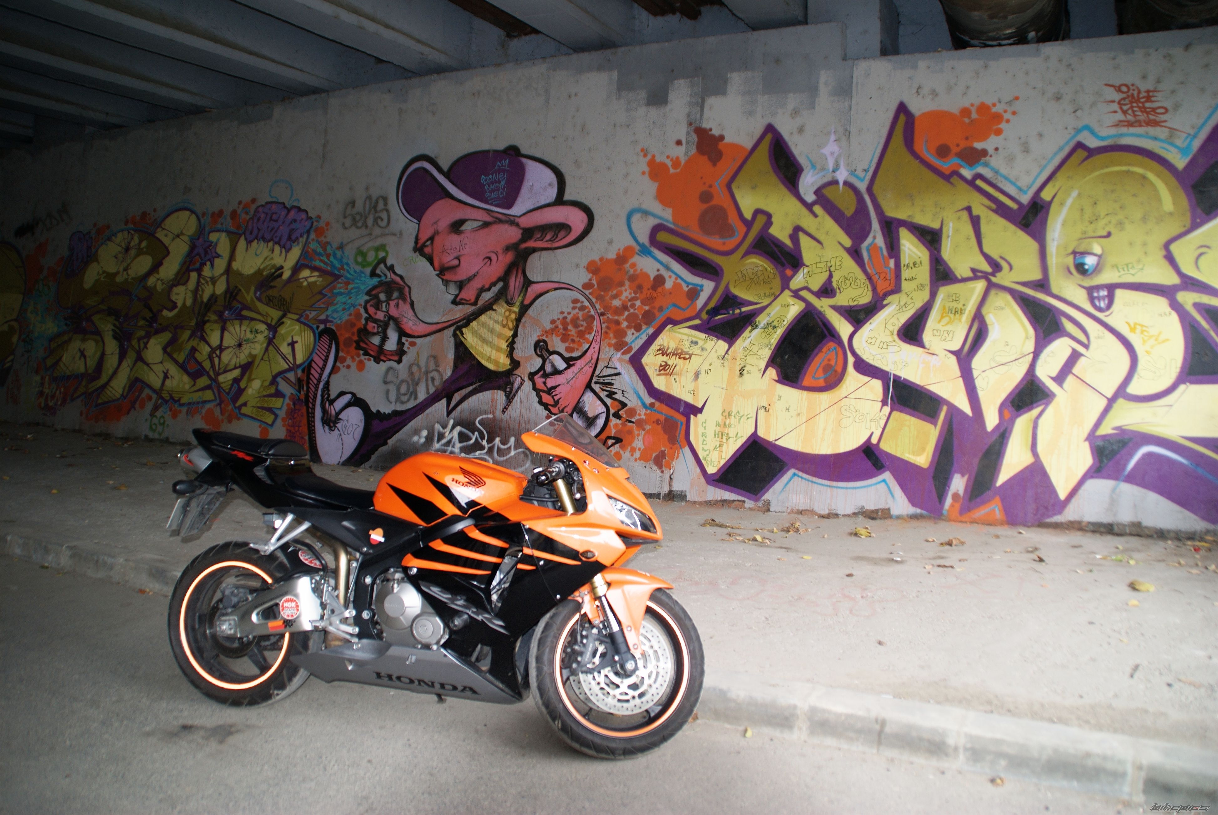 Photo 2284134