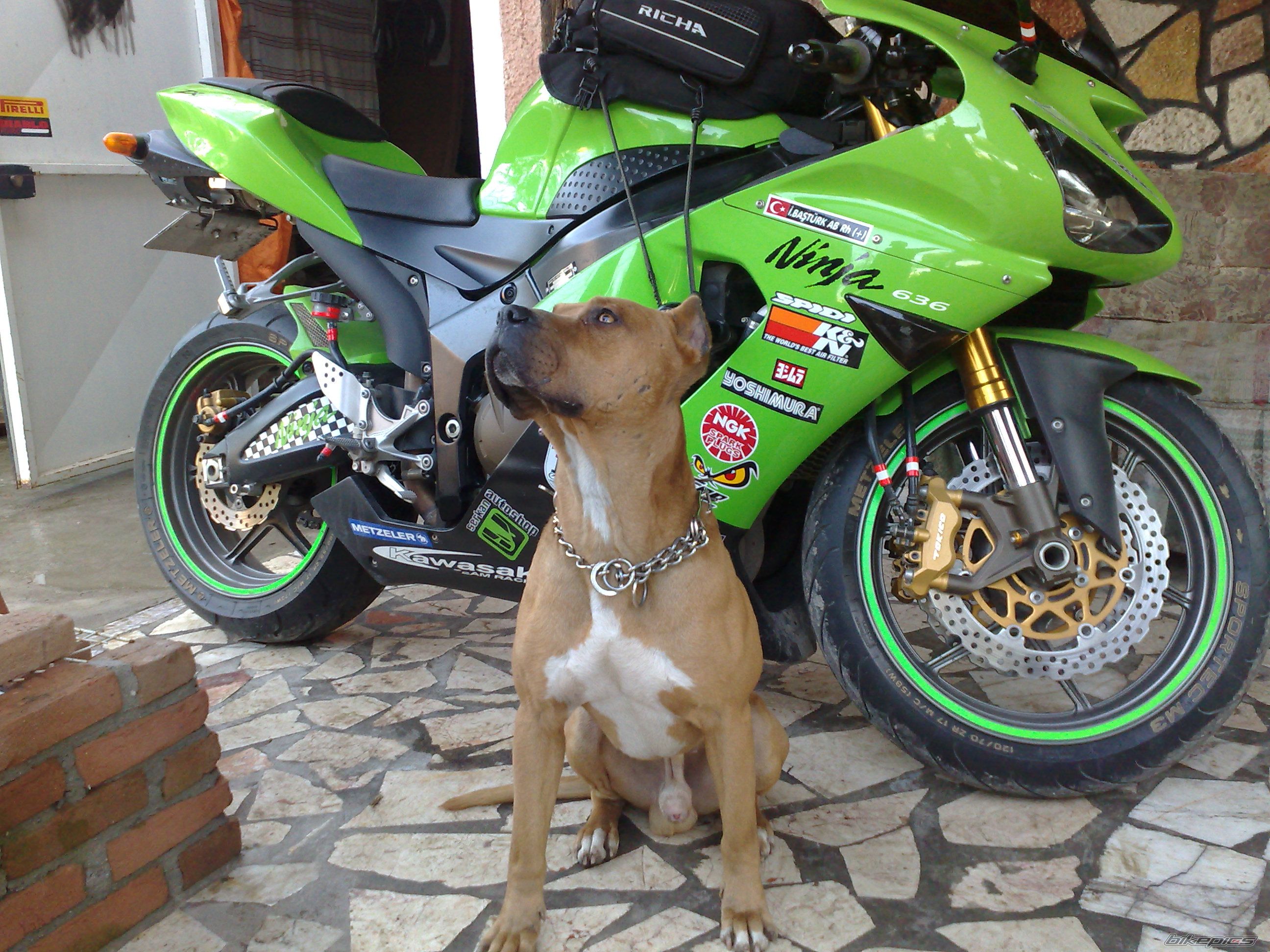 Bike Photo 2284216