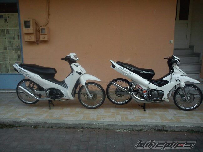 Photo 2284264