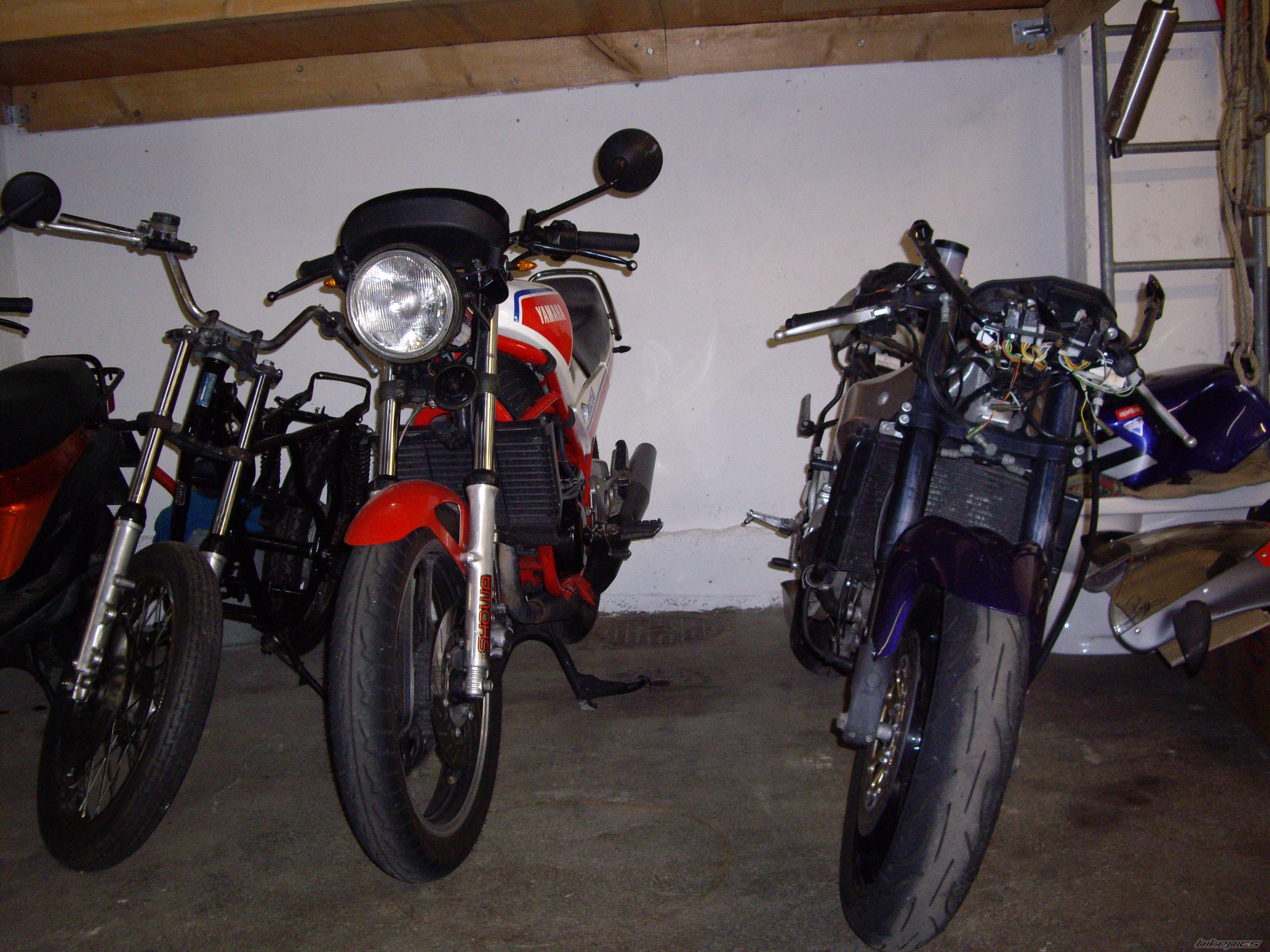 Photo 2284387