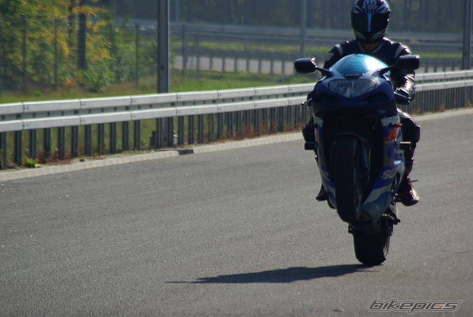Photo 2284393