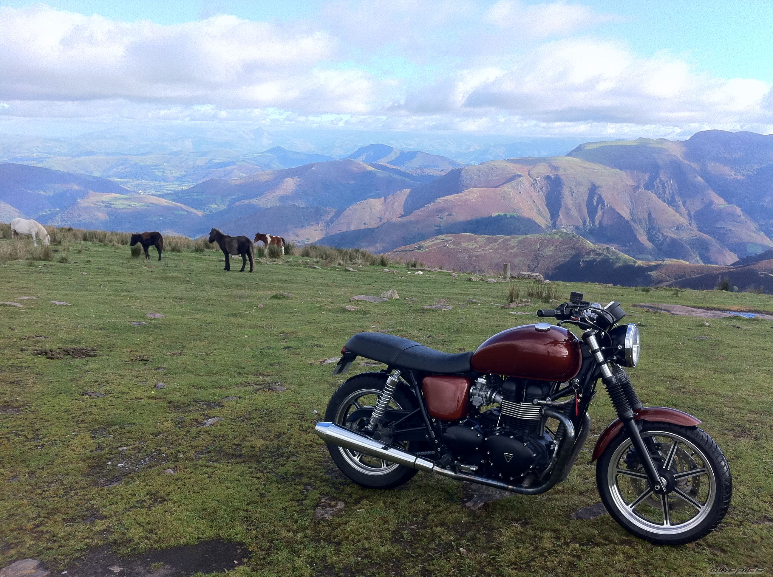 Photo 2284431