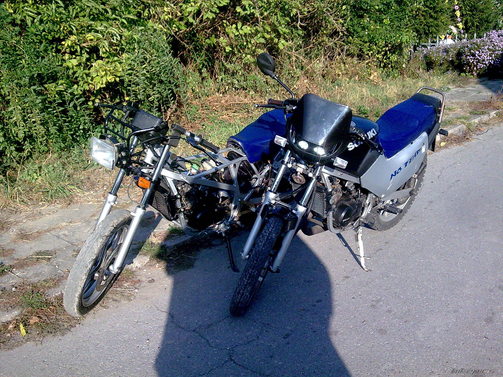 Photo 2284448