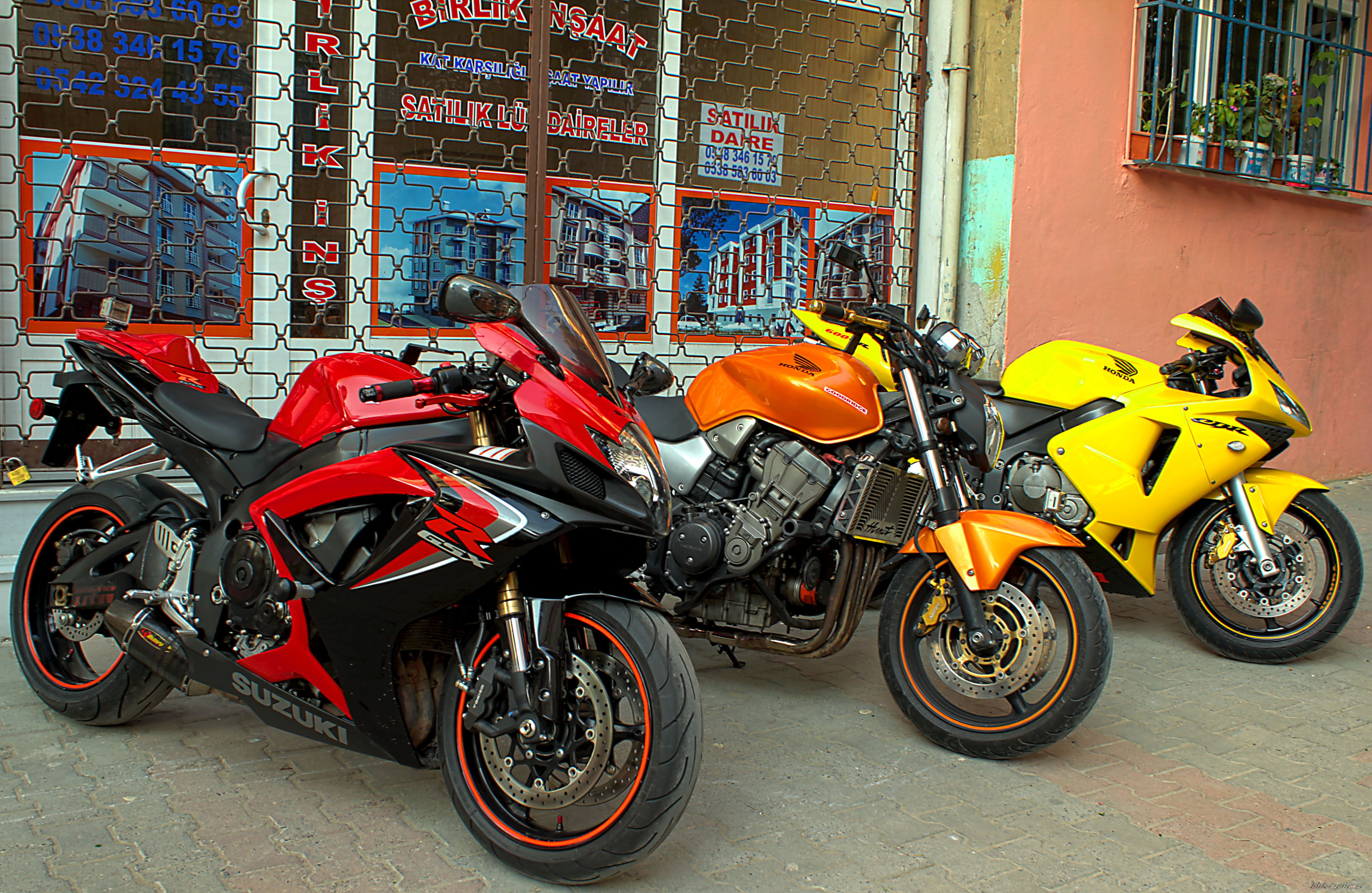 Photo 2284489