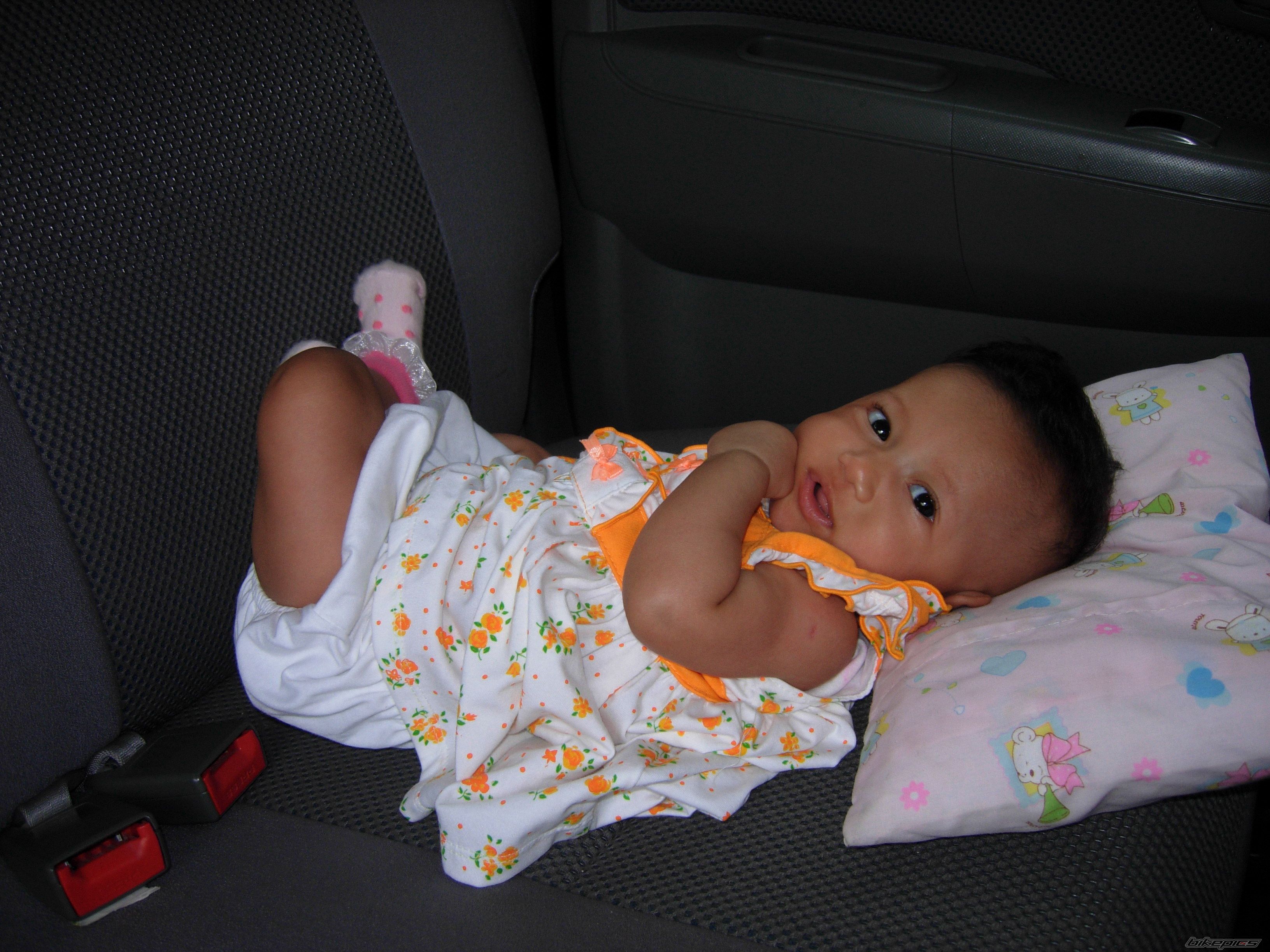 Photo 2284643