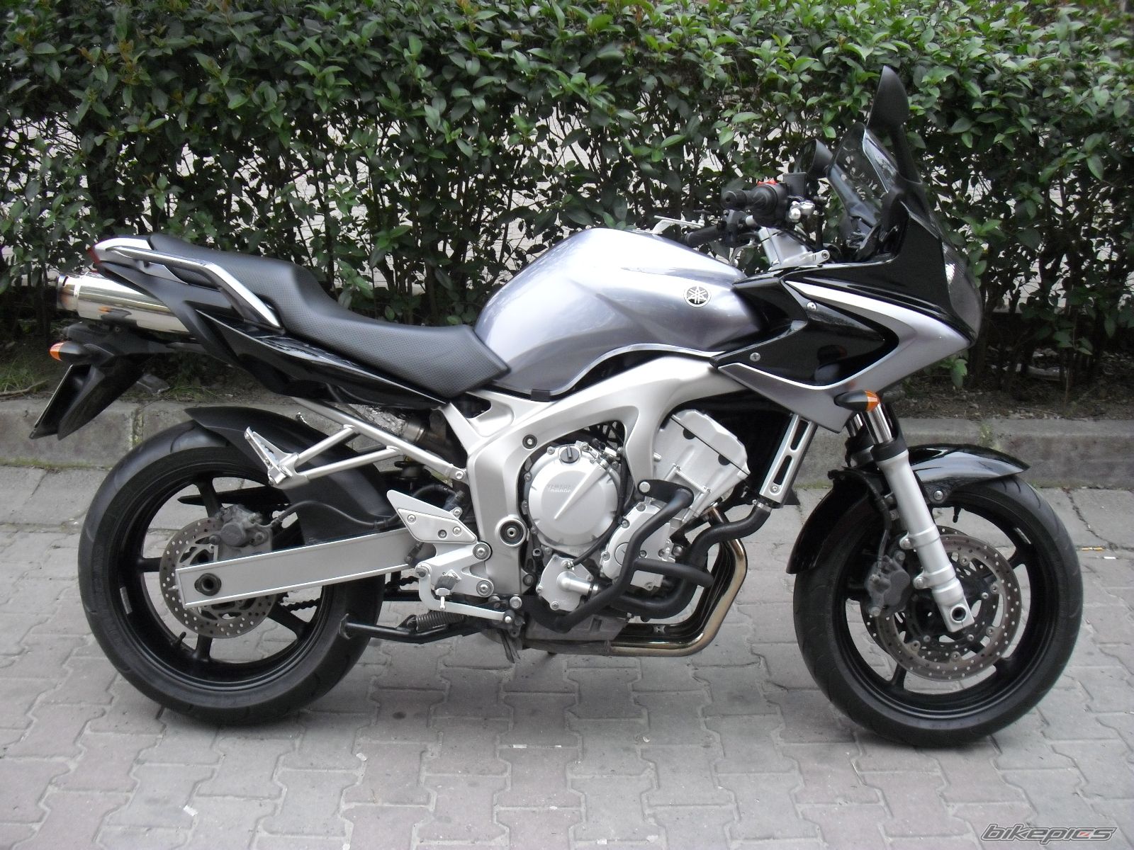 Photo 2284689