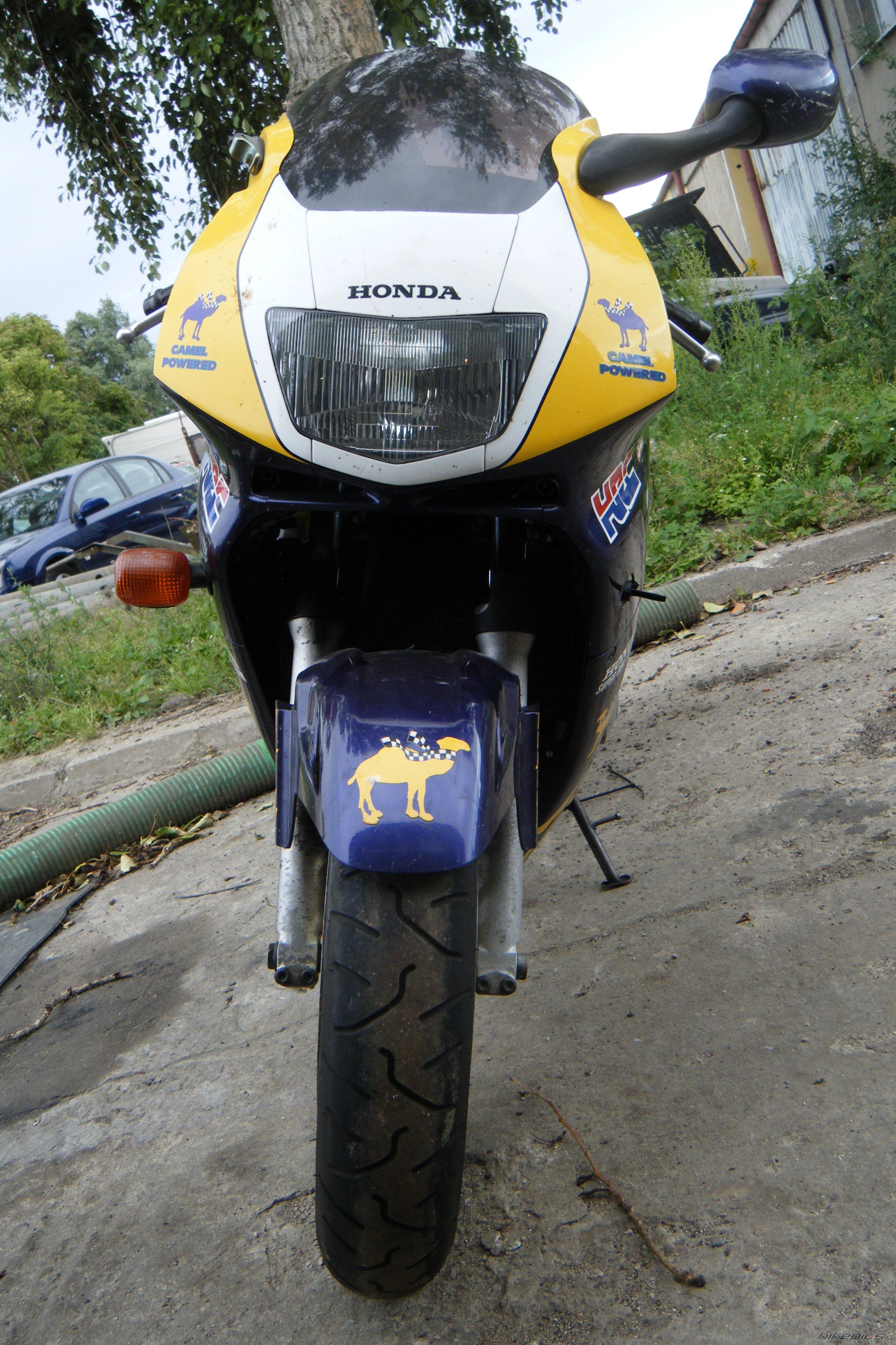 Photo 2284935