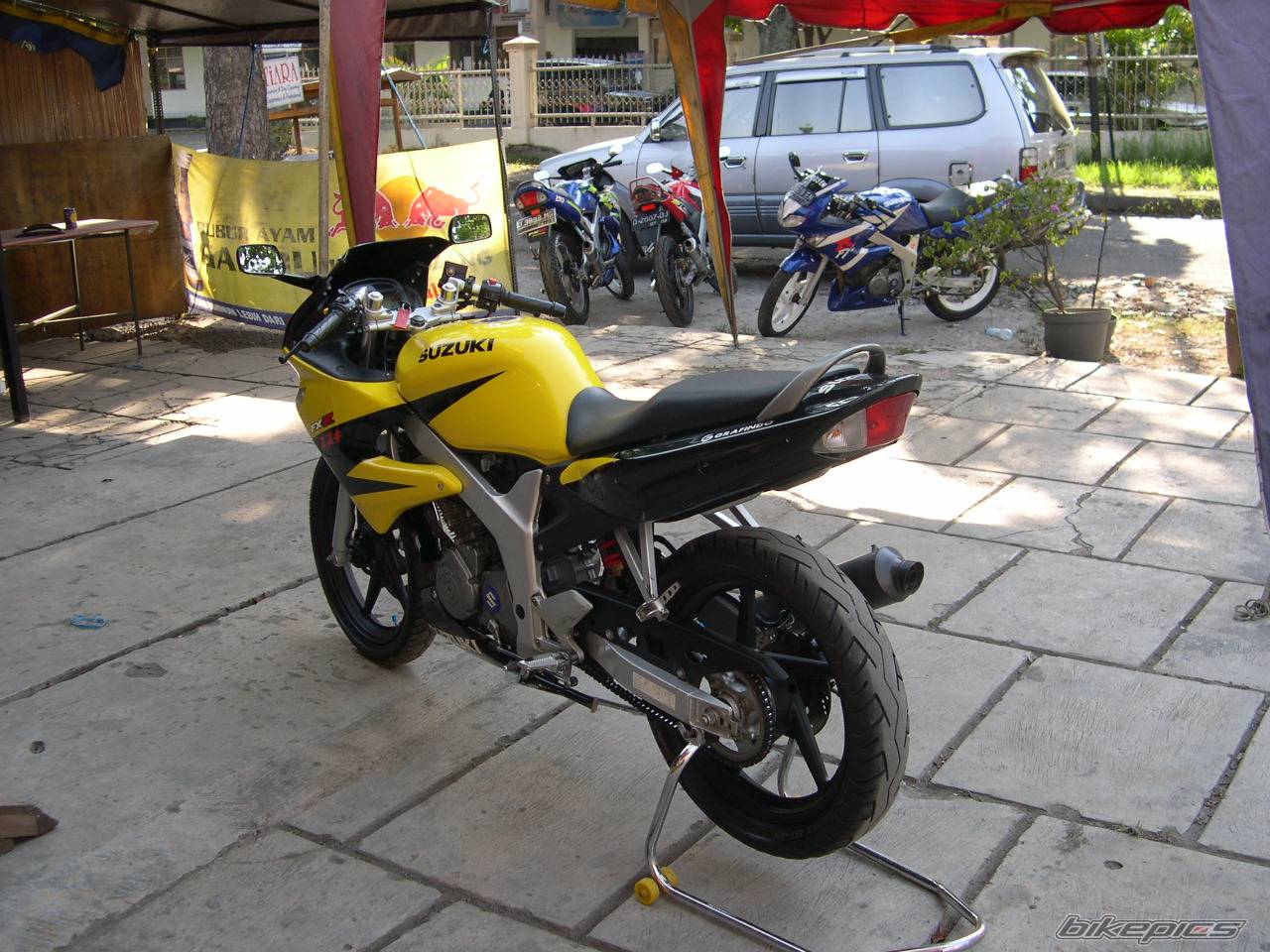 Photo 228495