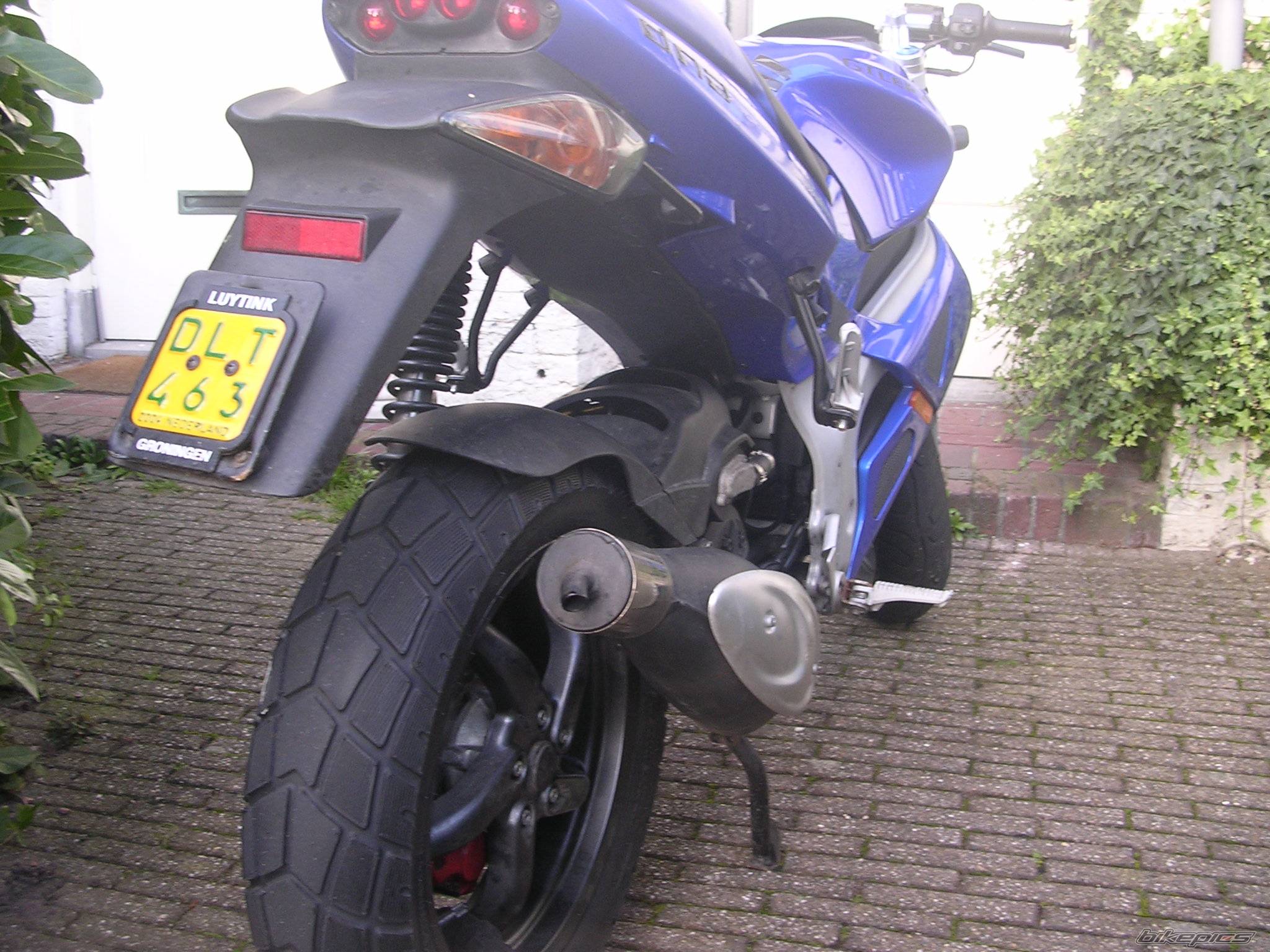 Photo 228499