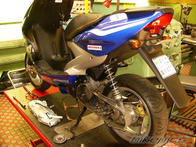 Photo 228510